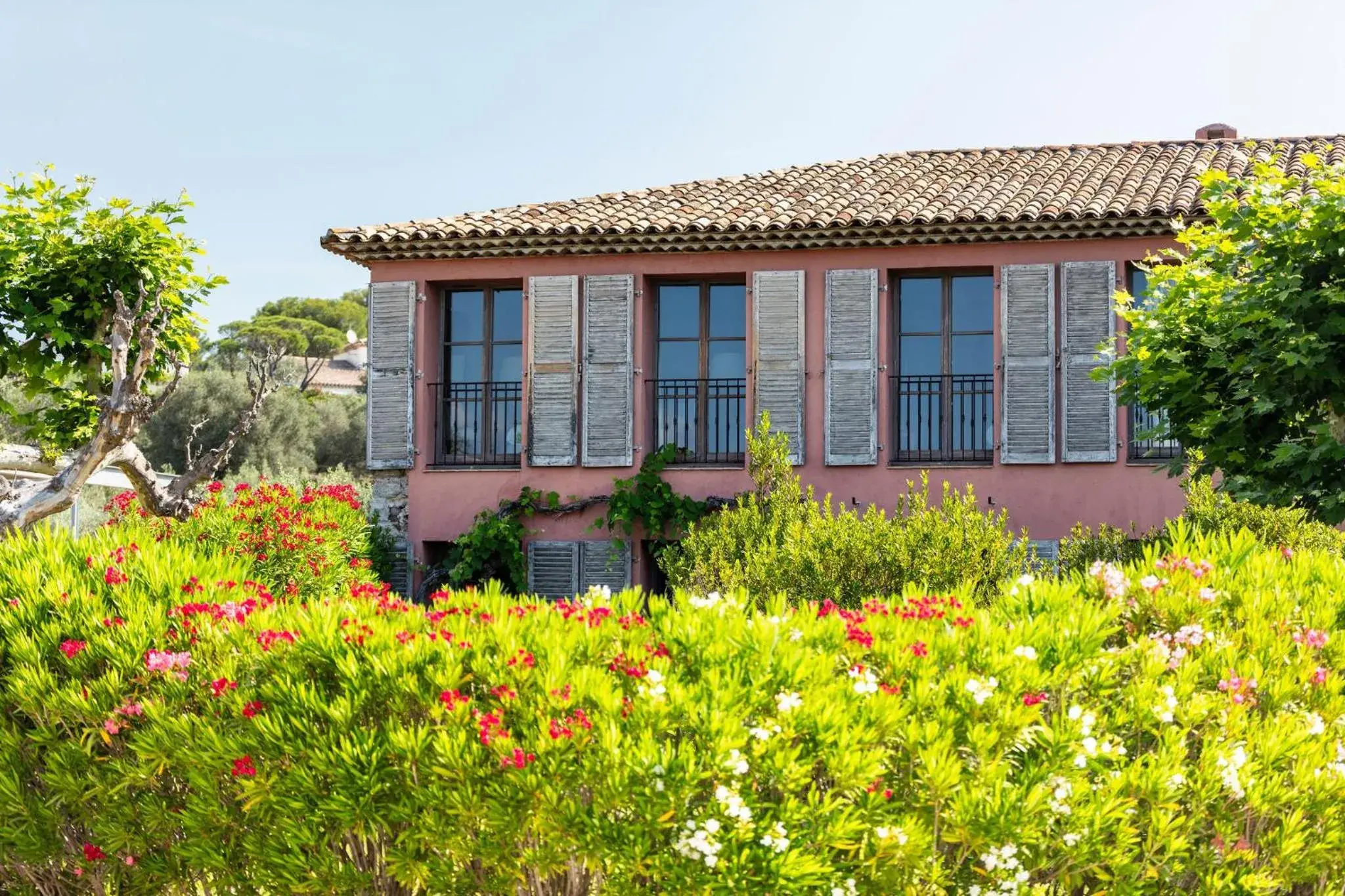 Property Building in La Bastide Du Clos des Roses - Les Collectionneurs