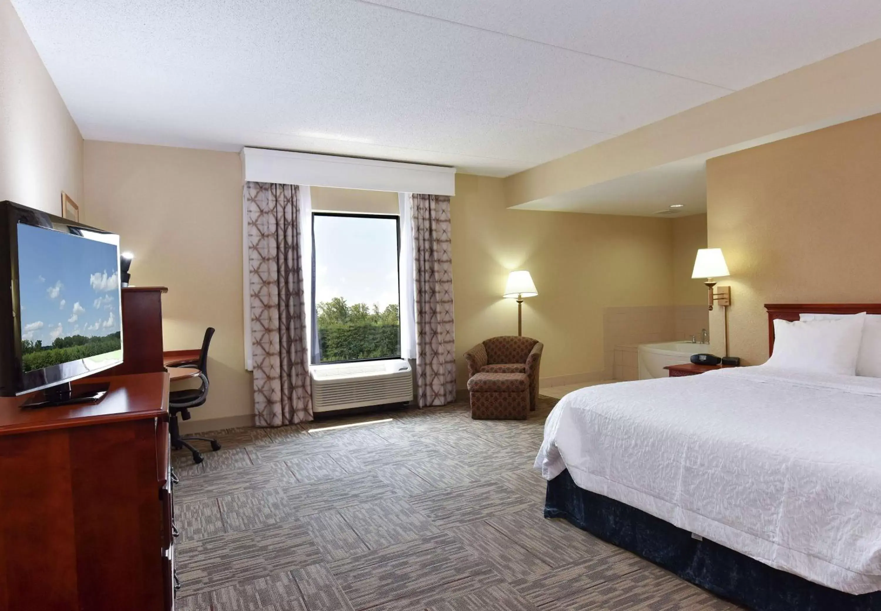 Bedroom, TV/Entertainment Center in Hampton Inn Selma