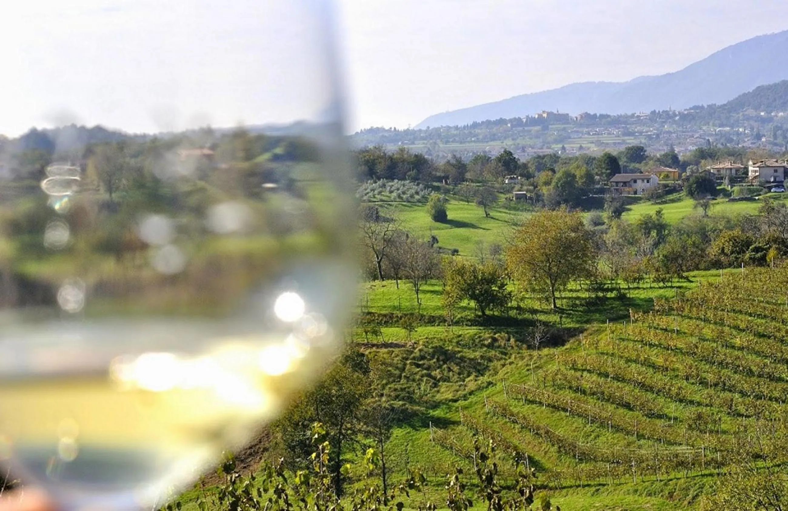 Natural landscape in Wine Hotel San Giacomo Activity & Wellness