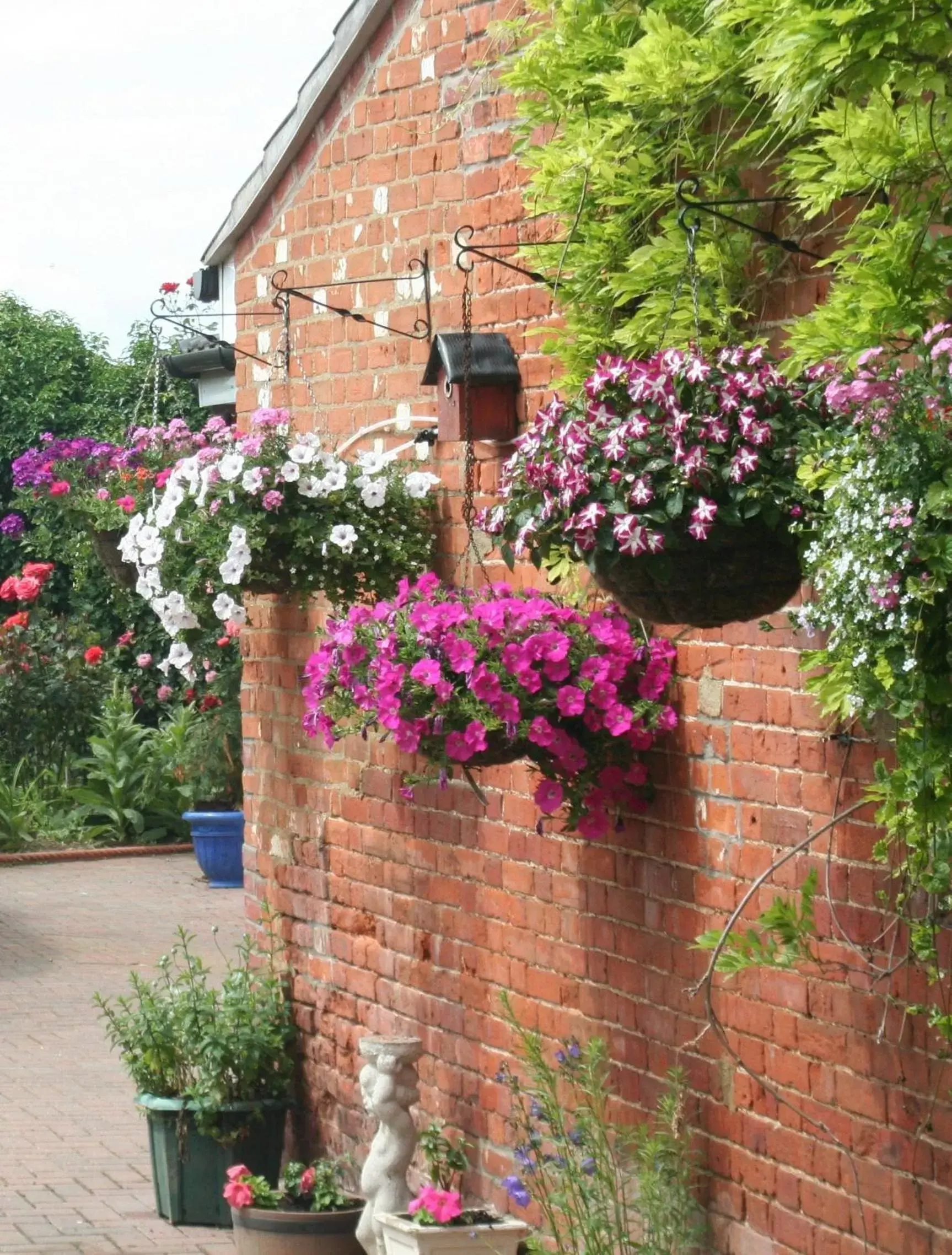 Summer, Property Building in Old Rectory Hotel, Crostwick