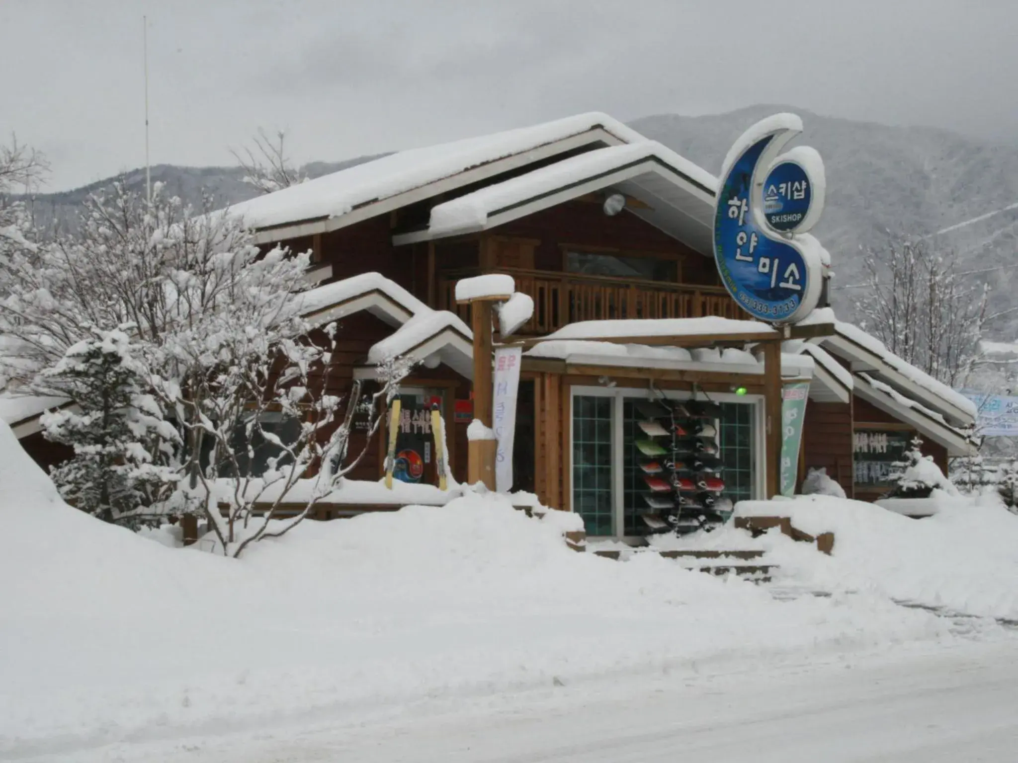 Skiing, Winter in White Cabin