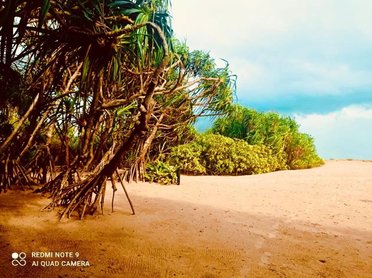 Beach in Manel Villa