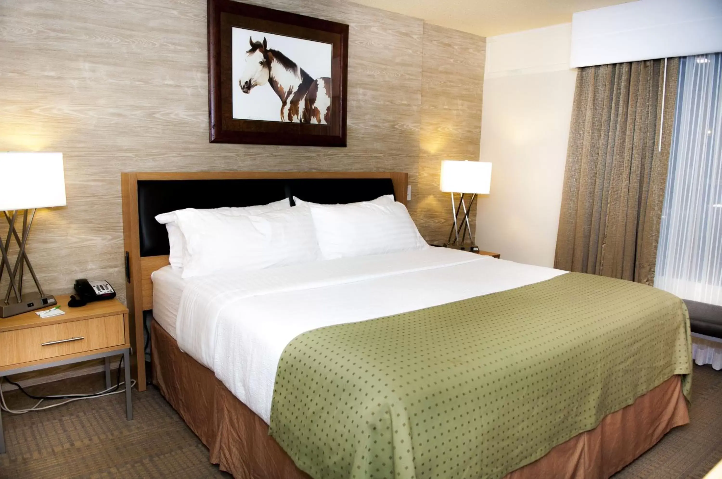 Standard  Room in Holiday Inn Spearfish-Convention Center, an IHG Hotel