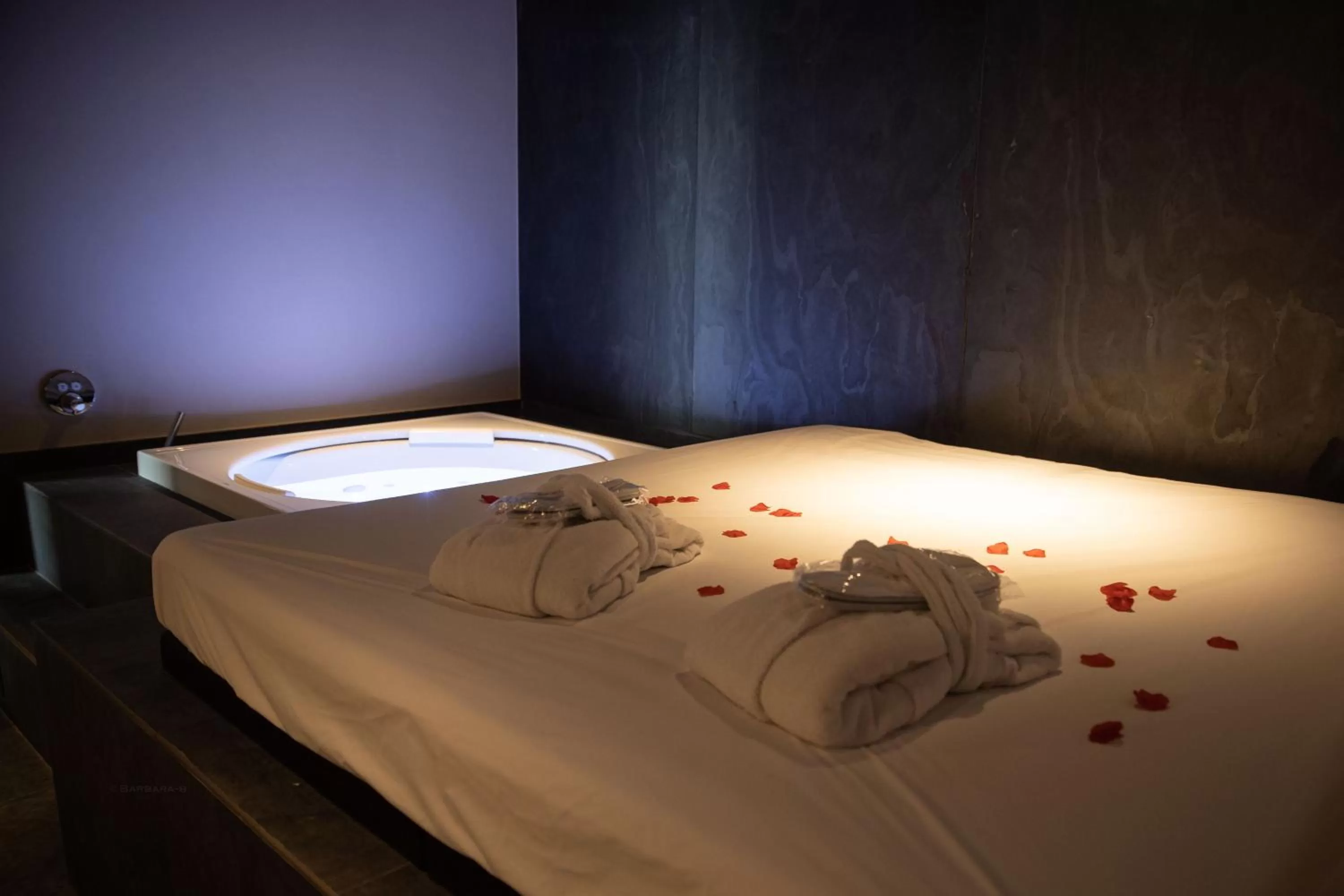 Spa and wellness centre/facilities, Bed in Petit-Roannay