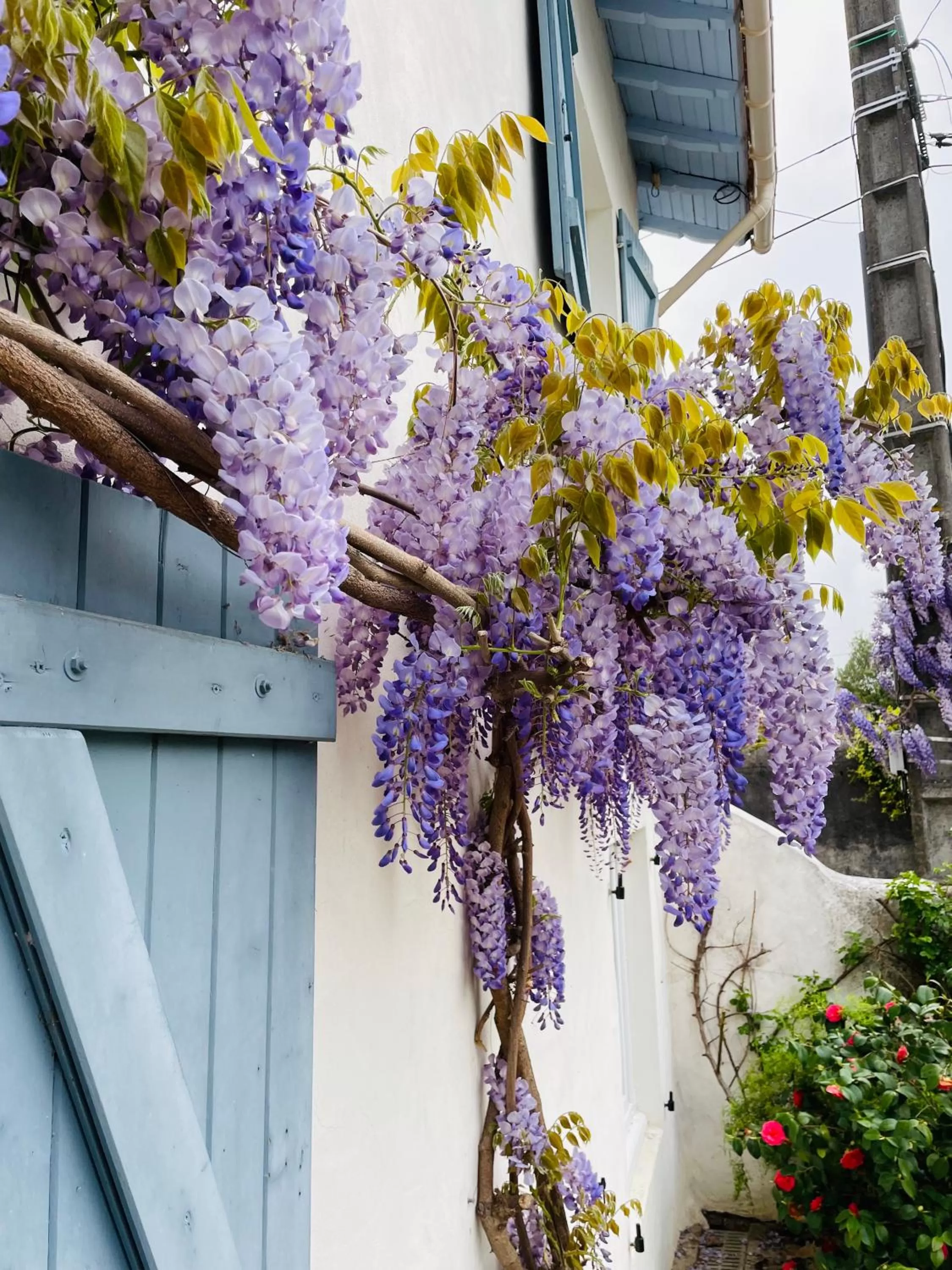 Property Building in La Poterie