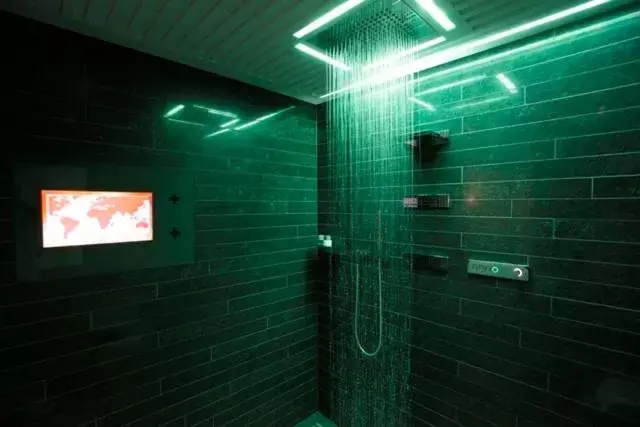 Shower, Bathroom in Widder Hotel - Zurichs luxury hideaway