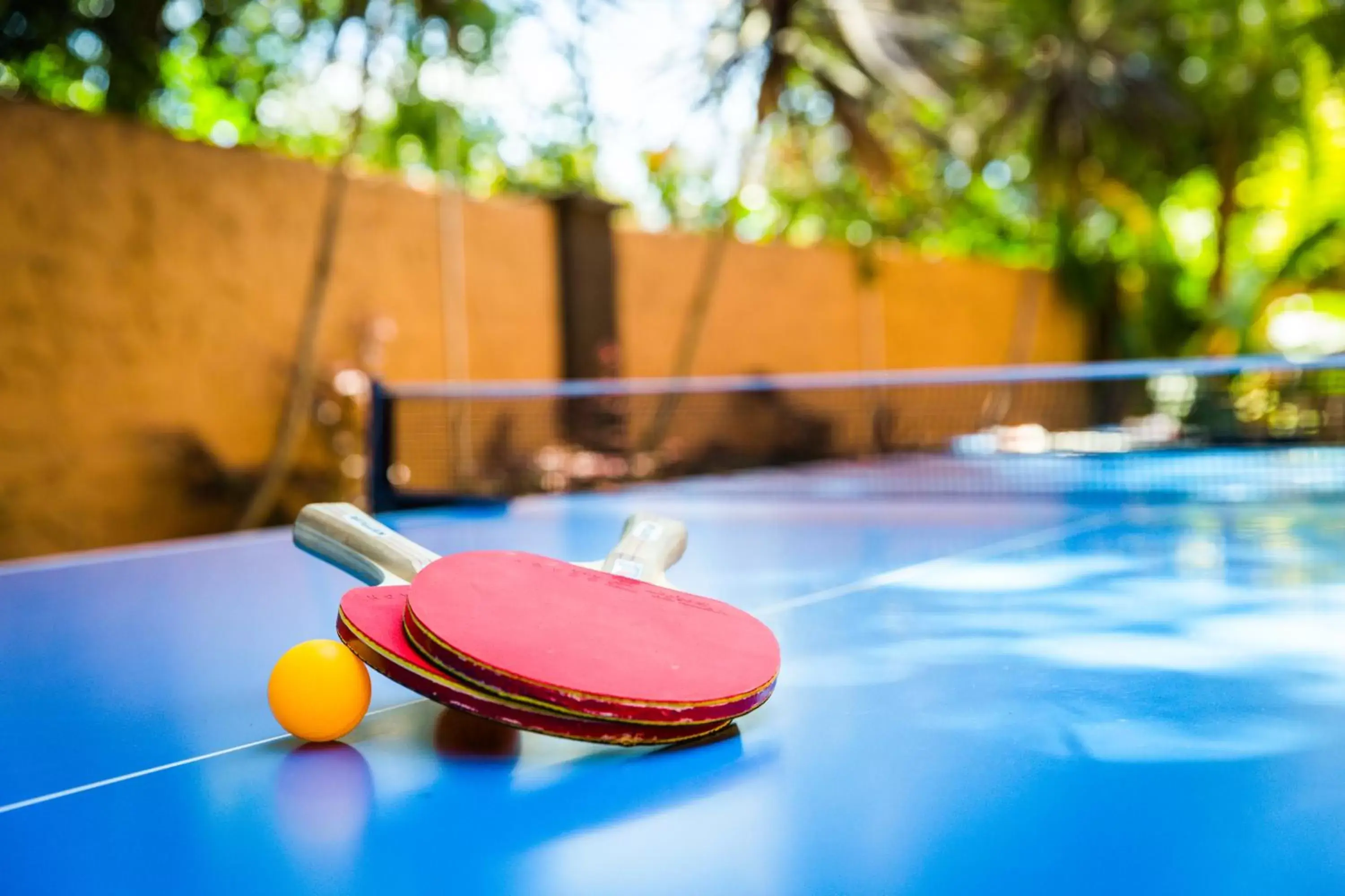 Table Tennis in Hotel Zico