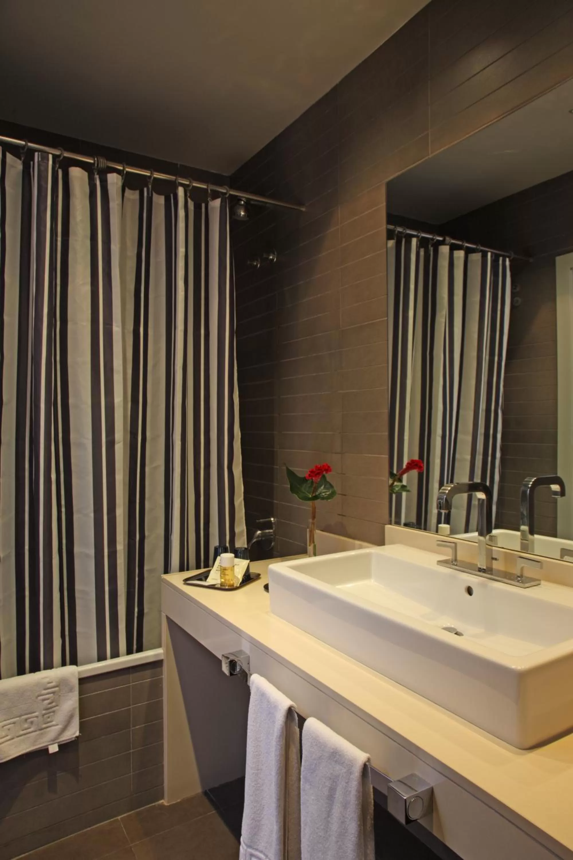 Bathroom in Chic & Basic Zoo