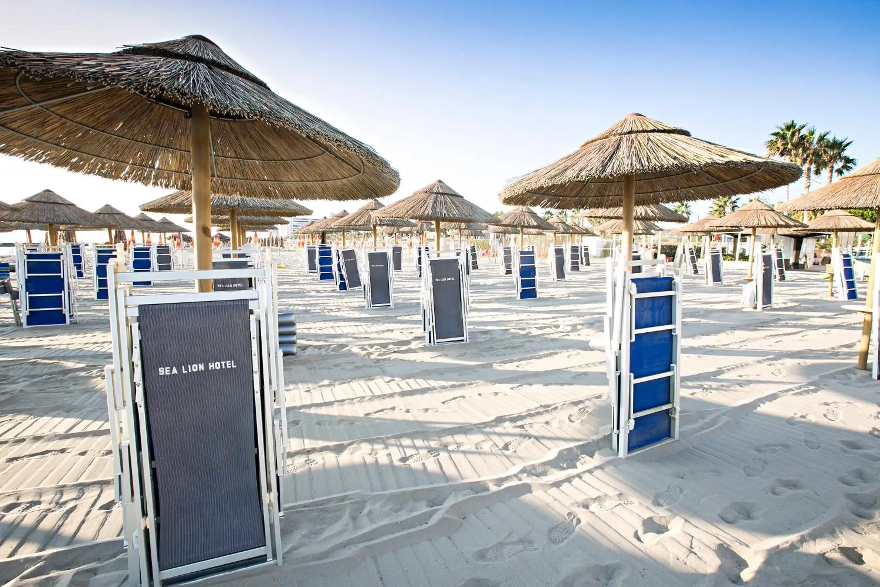 Beach in Sea Lion Hotel