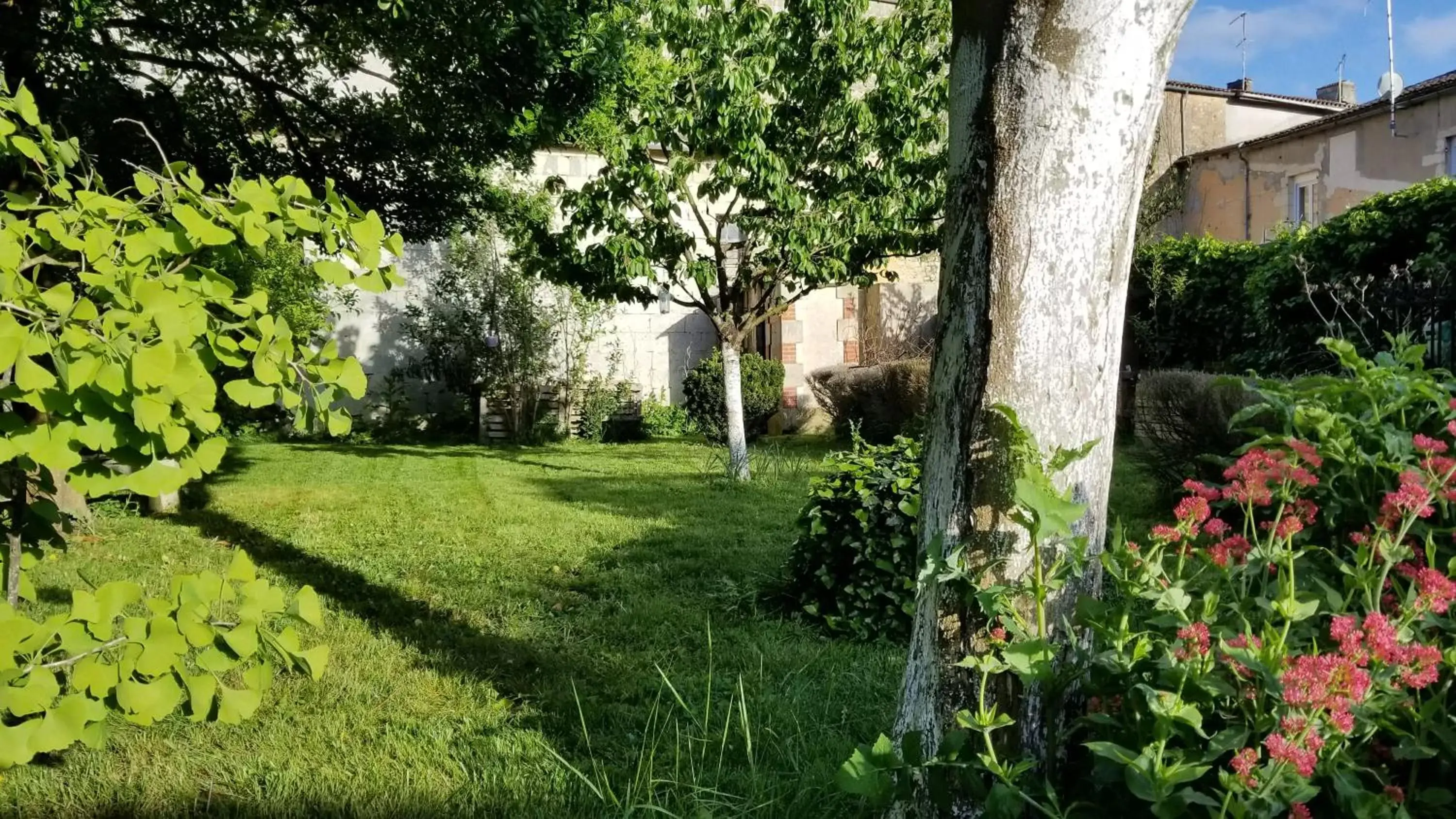 Garden in La Maison Blanche