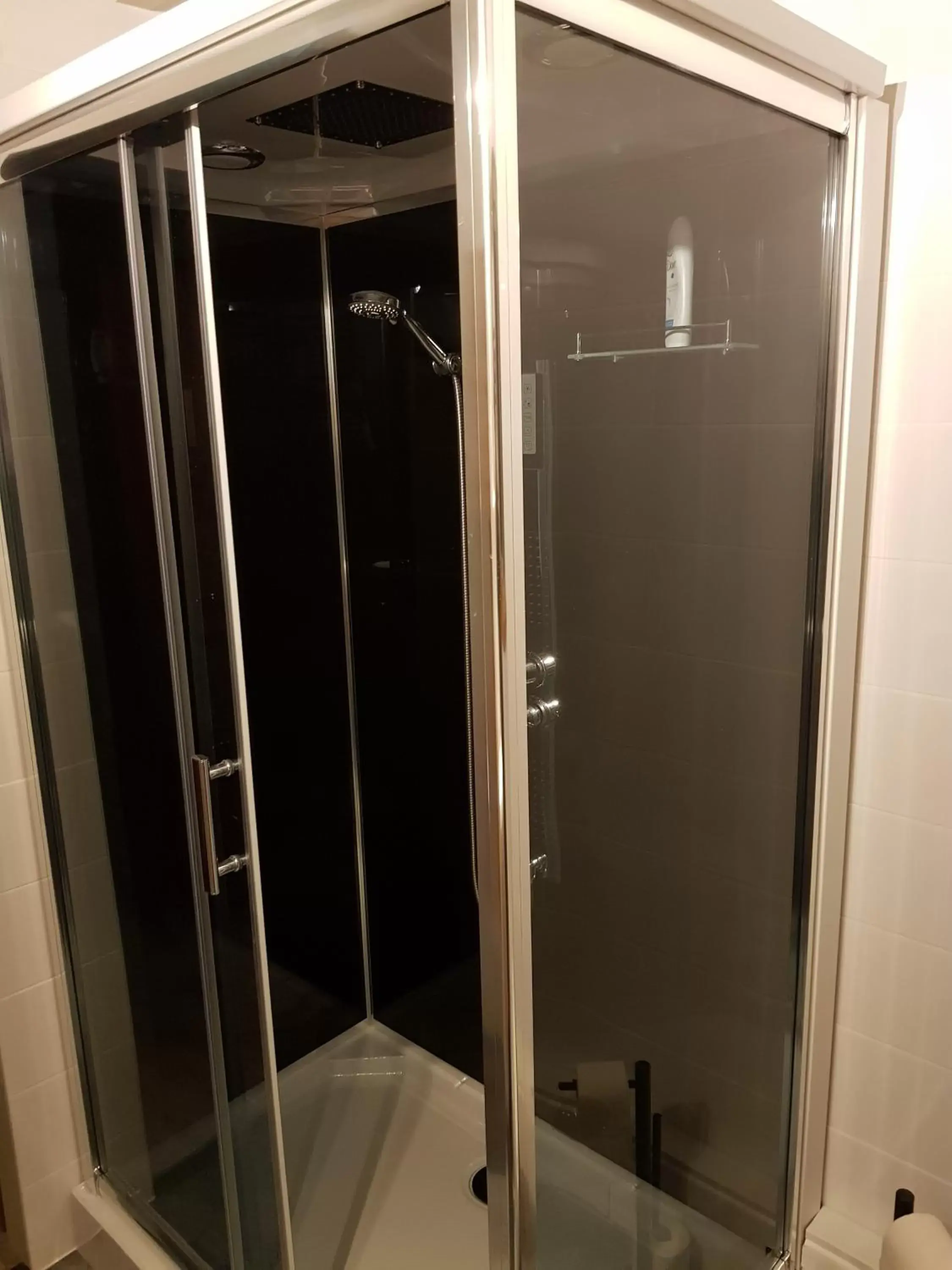 Shower, Bathroom in bnbheerhugowaard