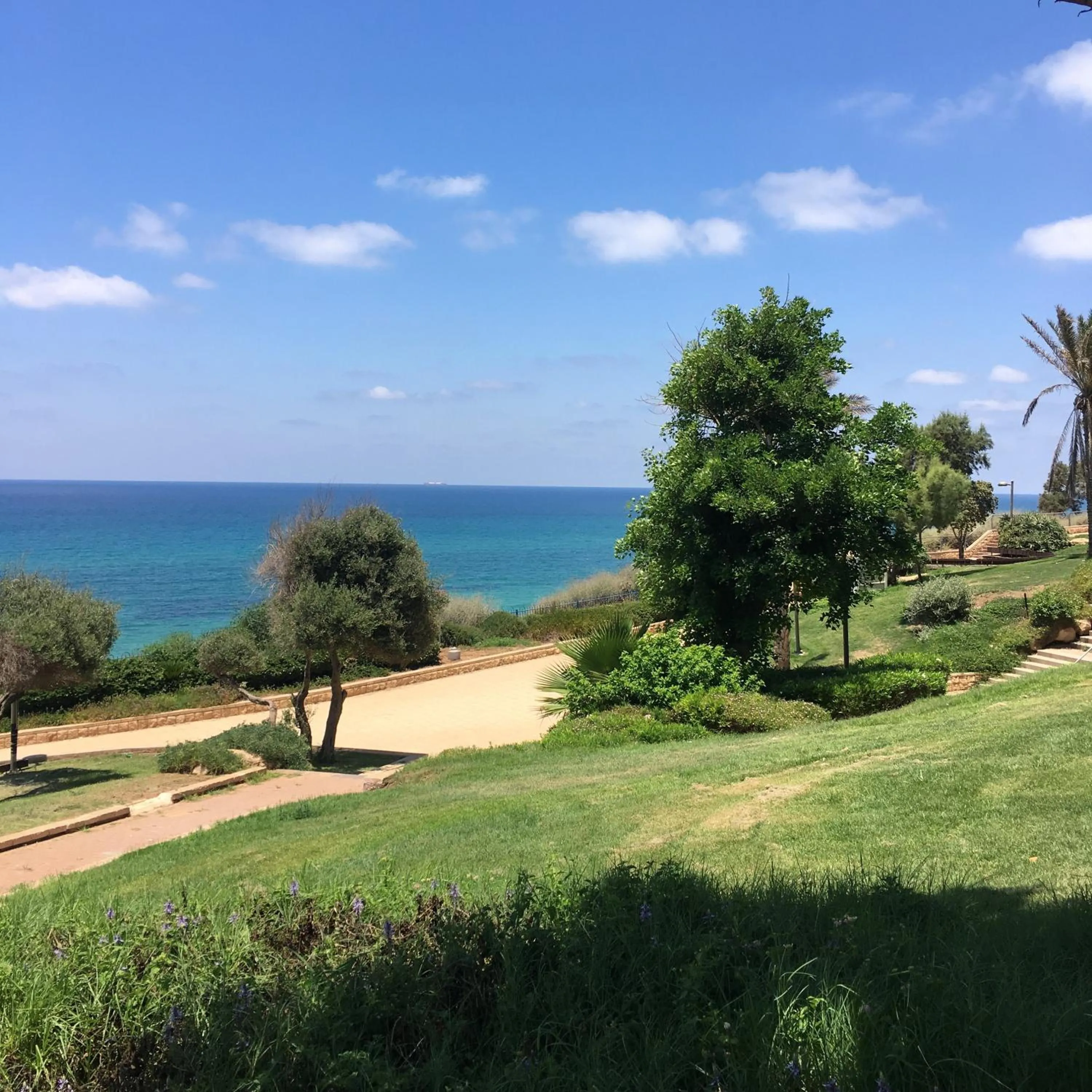 Natural landscape in Medi Terre Boutique Hotel - By Saida Hotels