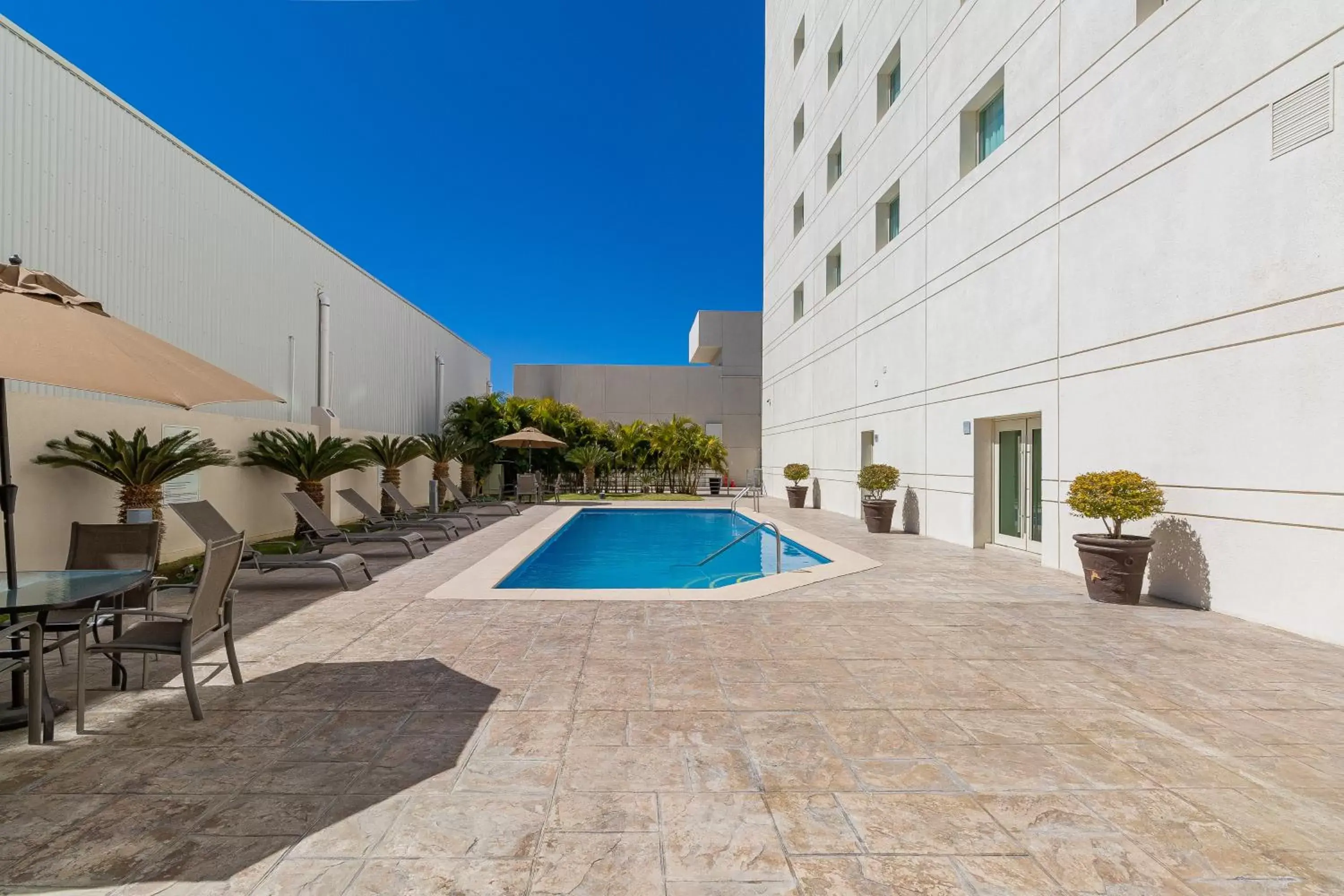 Swimming pool in Hotel Aeropuerto Los Cabos Swimming pool in Hotel Aeropuerto Los Cabos