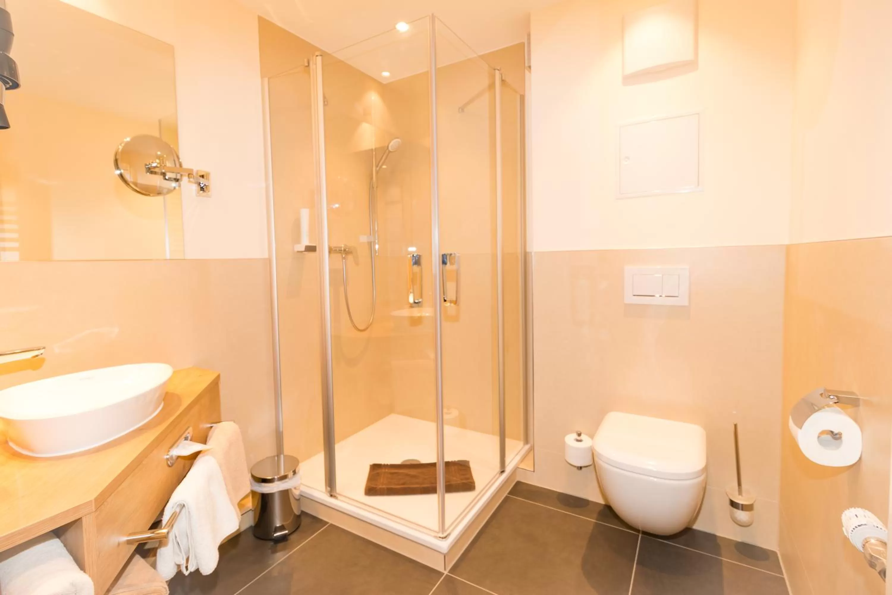 Shower in Thermalhotel Gass