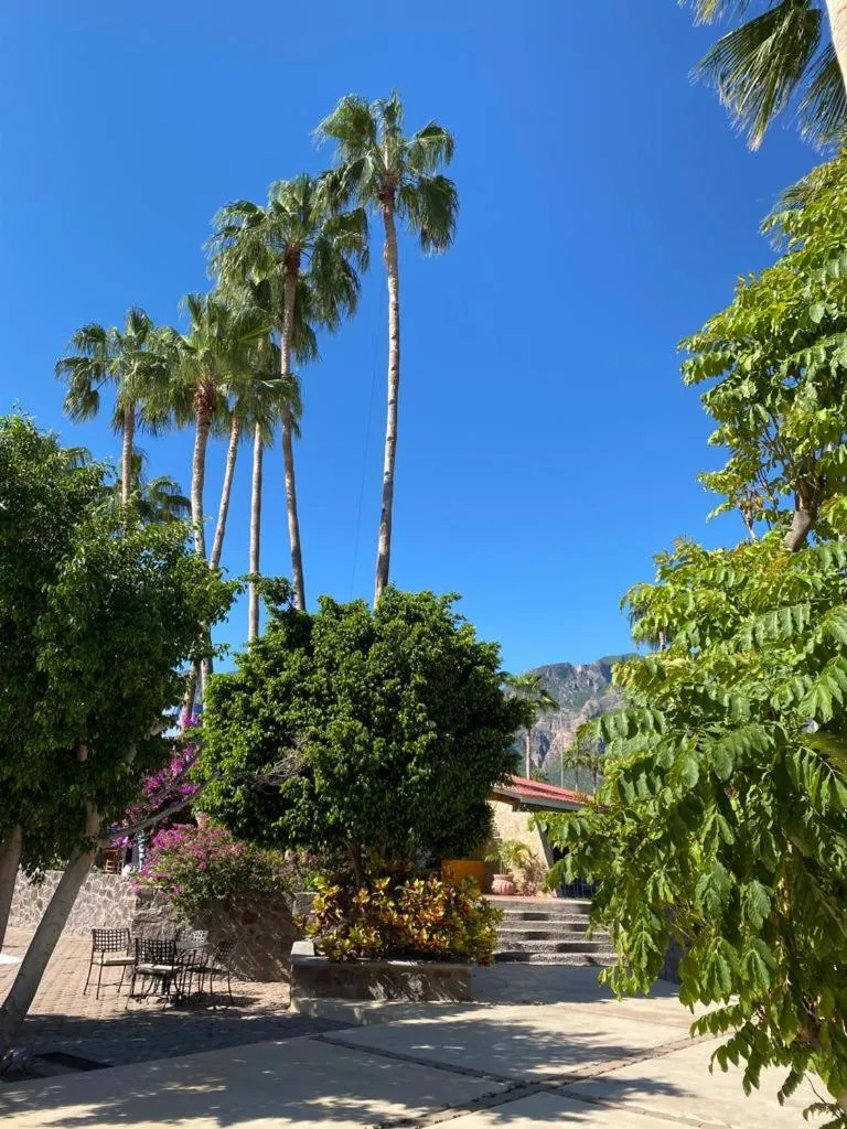 Spring in Tripui Hotel