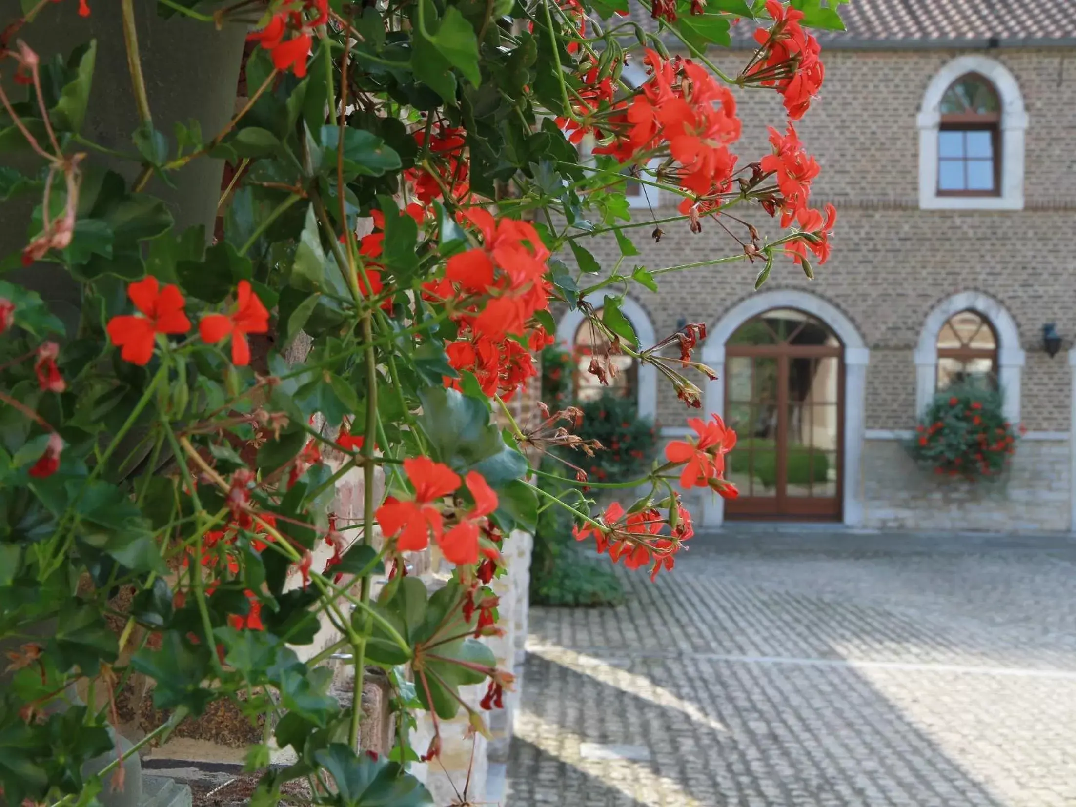 Property Building in Hôtel - Ferme du Château d'Ahin