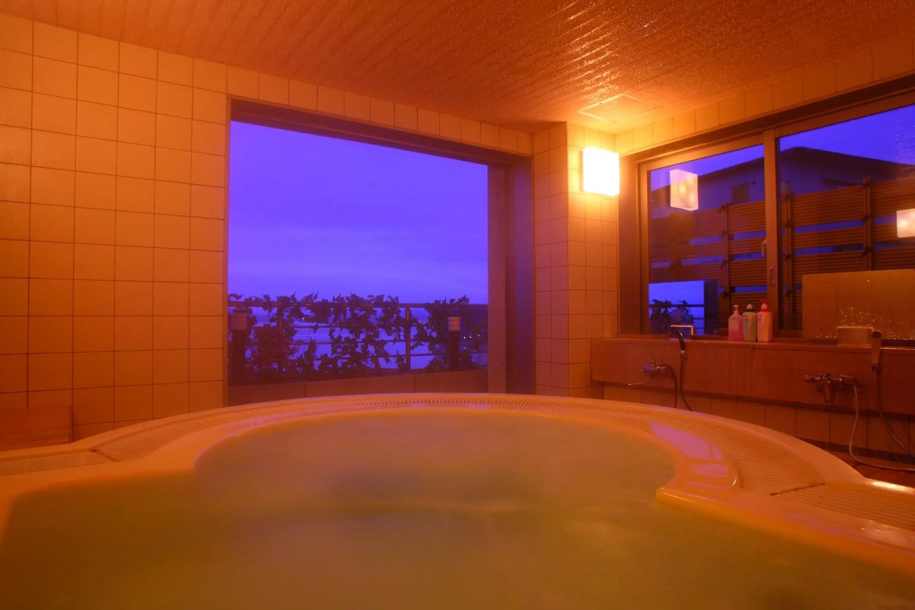 Spa and wellness centre/facilities, Swimming Pool in Himi Onsenkyo Eihokaku