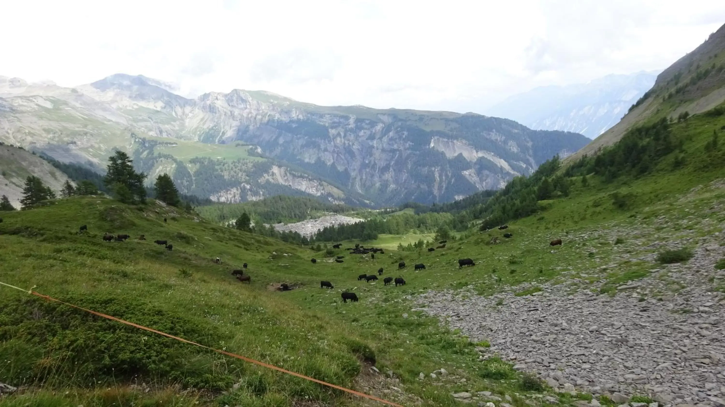 Hiking, Natural Landscape in la grange à Caroline