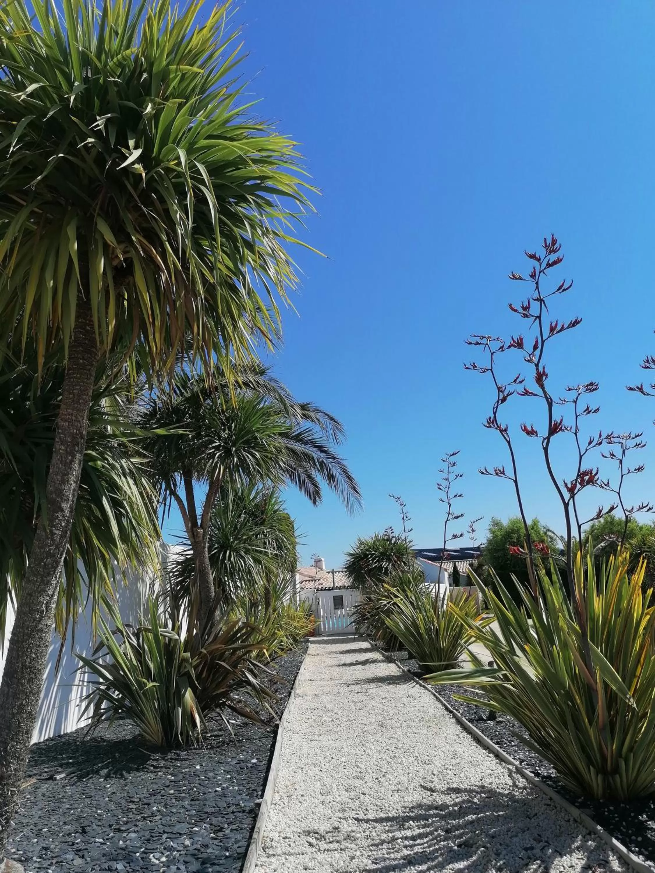 Garden in Hôtel Ancre Marine & Spa Thalgo ***