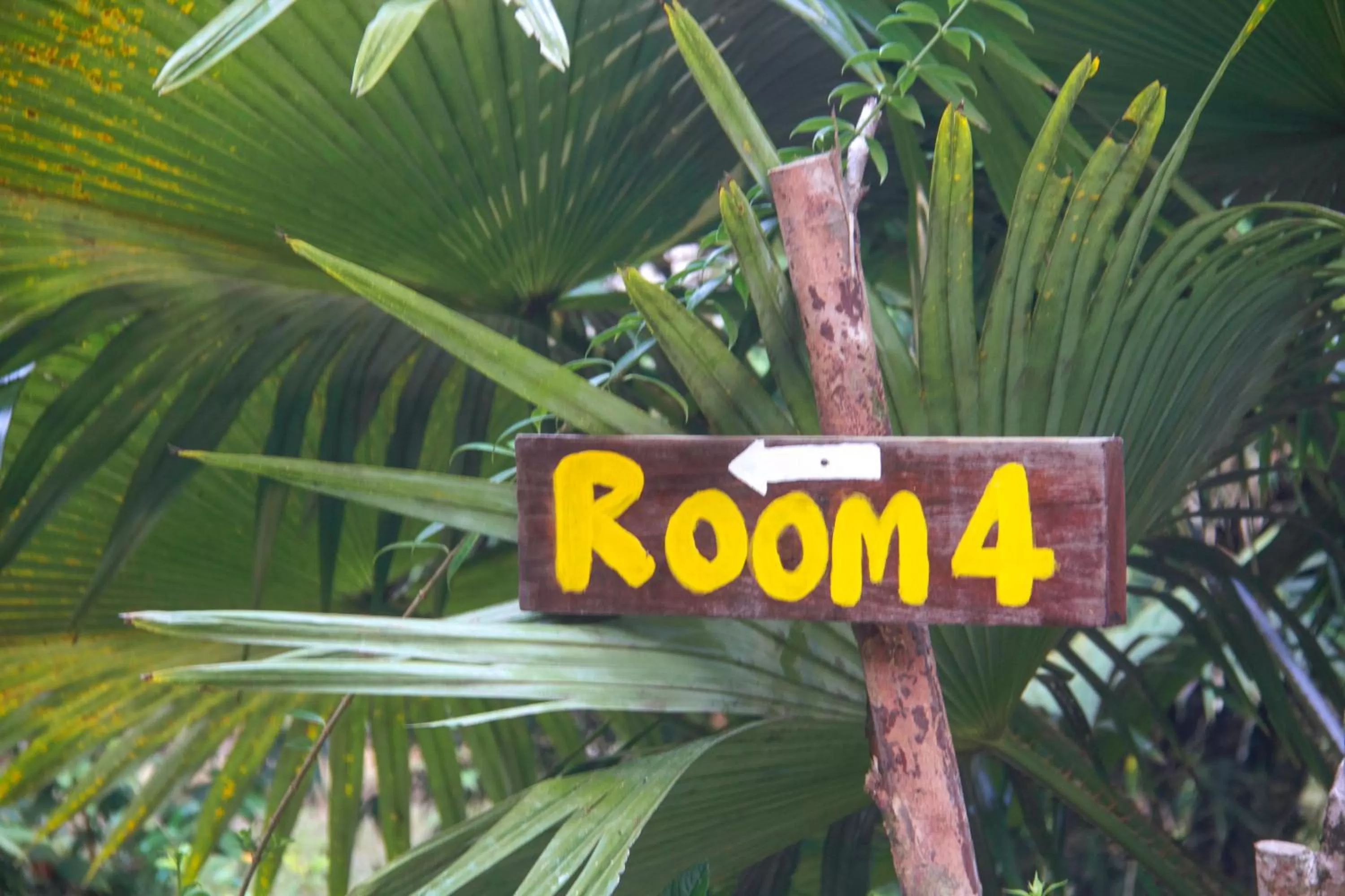 Property logo or sign in Khao Sok Palmview Resort