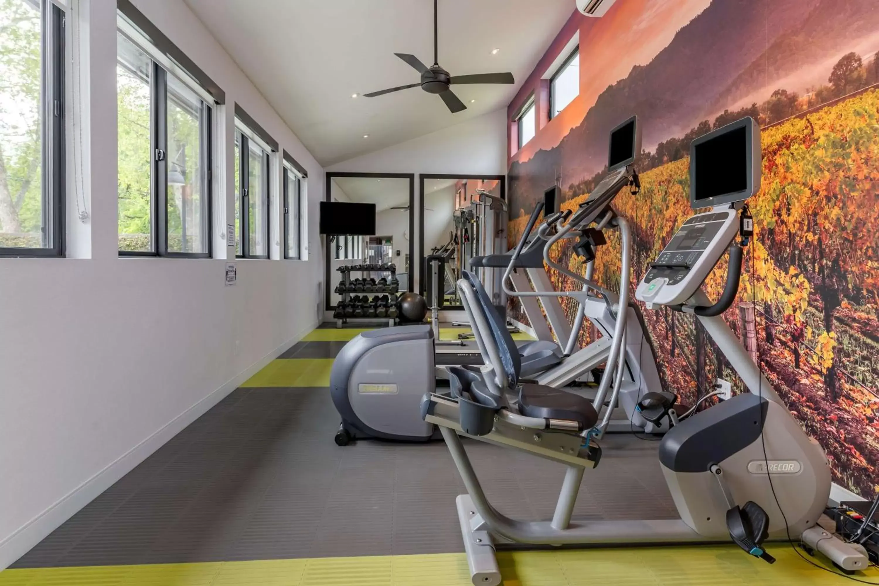 Fitness centre/facilities, Fitness Center/Facilities in Best Western Plus Stevenson Manor