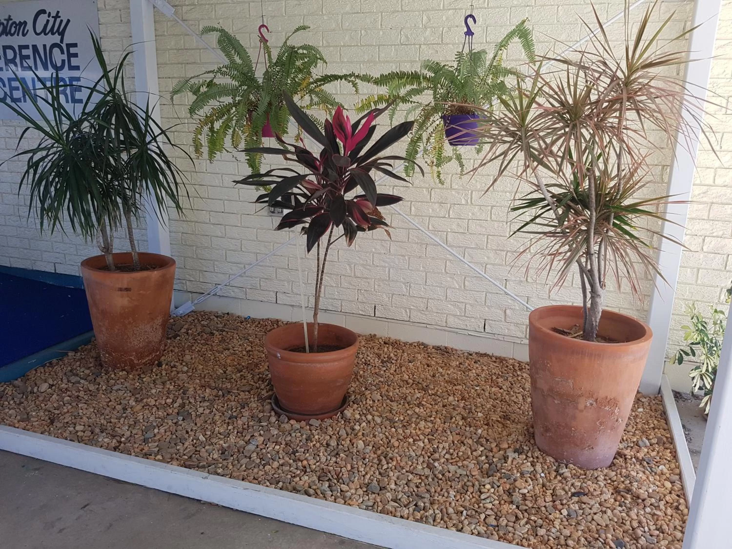 Property building in Y Motels Rockhampton