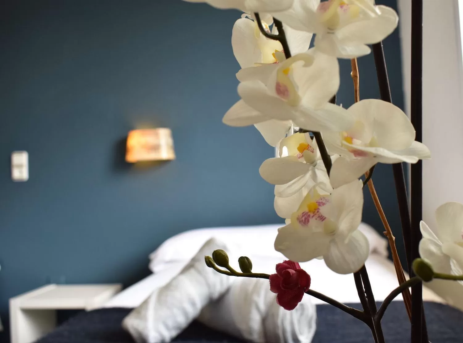 Other, Bed in Hotel El Ancla