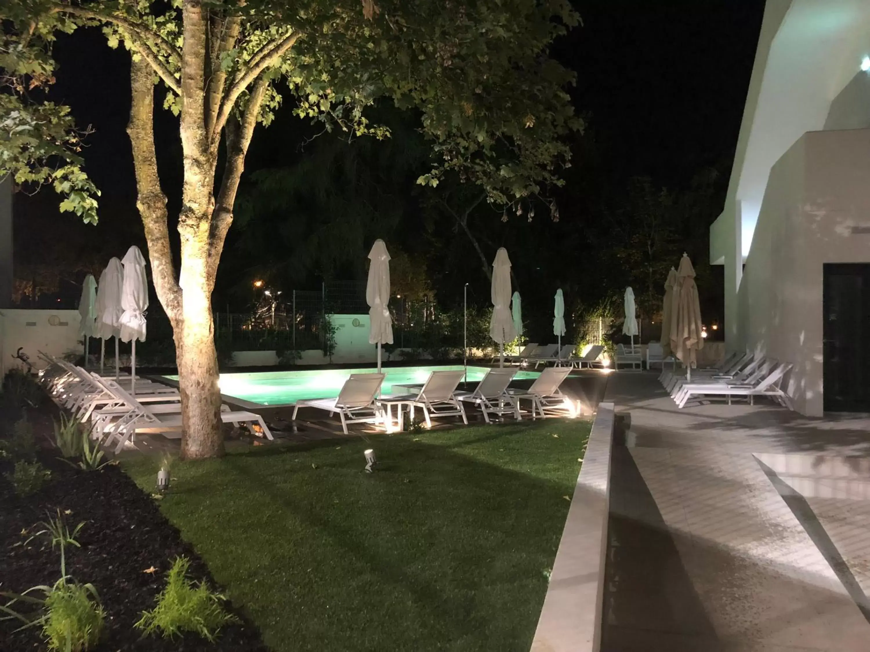 Patio, Swimming Pool in Evora Olive Hotel
