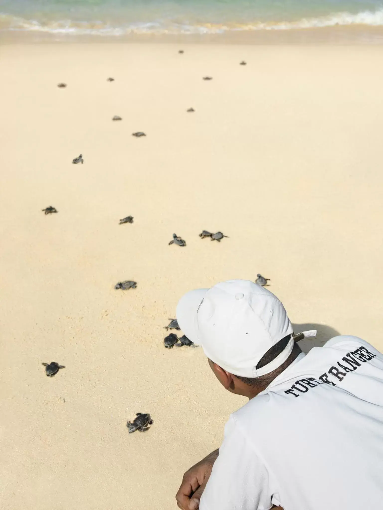 Staff, Beach in Shangri-La Barr Al Jissah, Muscat