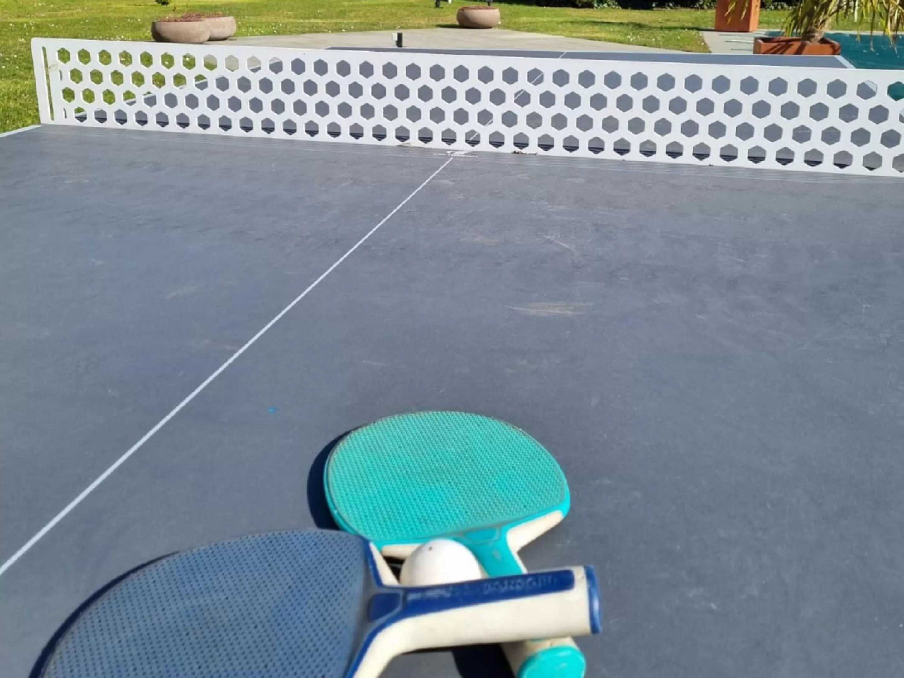 Table tennis in Novotel Antwerpen - Ekeren