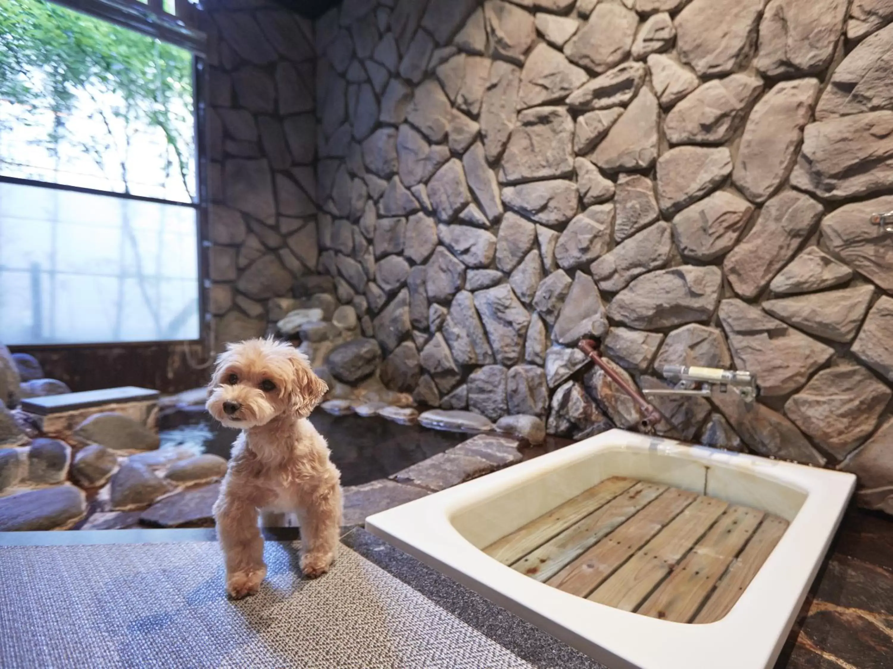 Hot Spring Bath in Wellness Forest Nasu