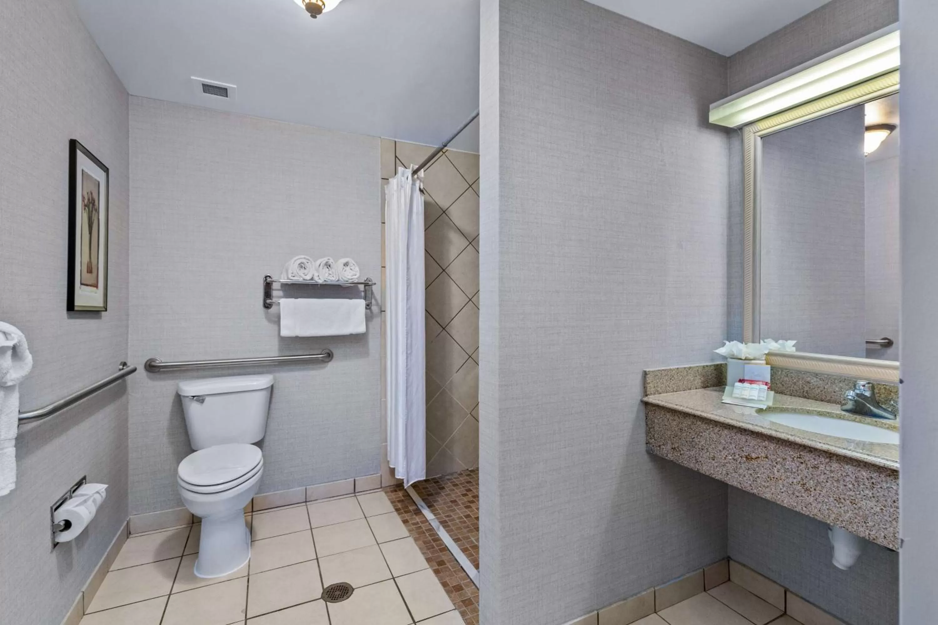 Bathroom in Hilton Garden Inn Starkville