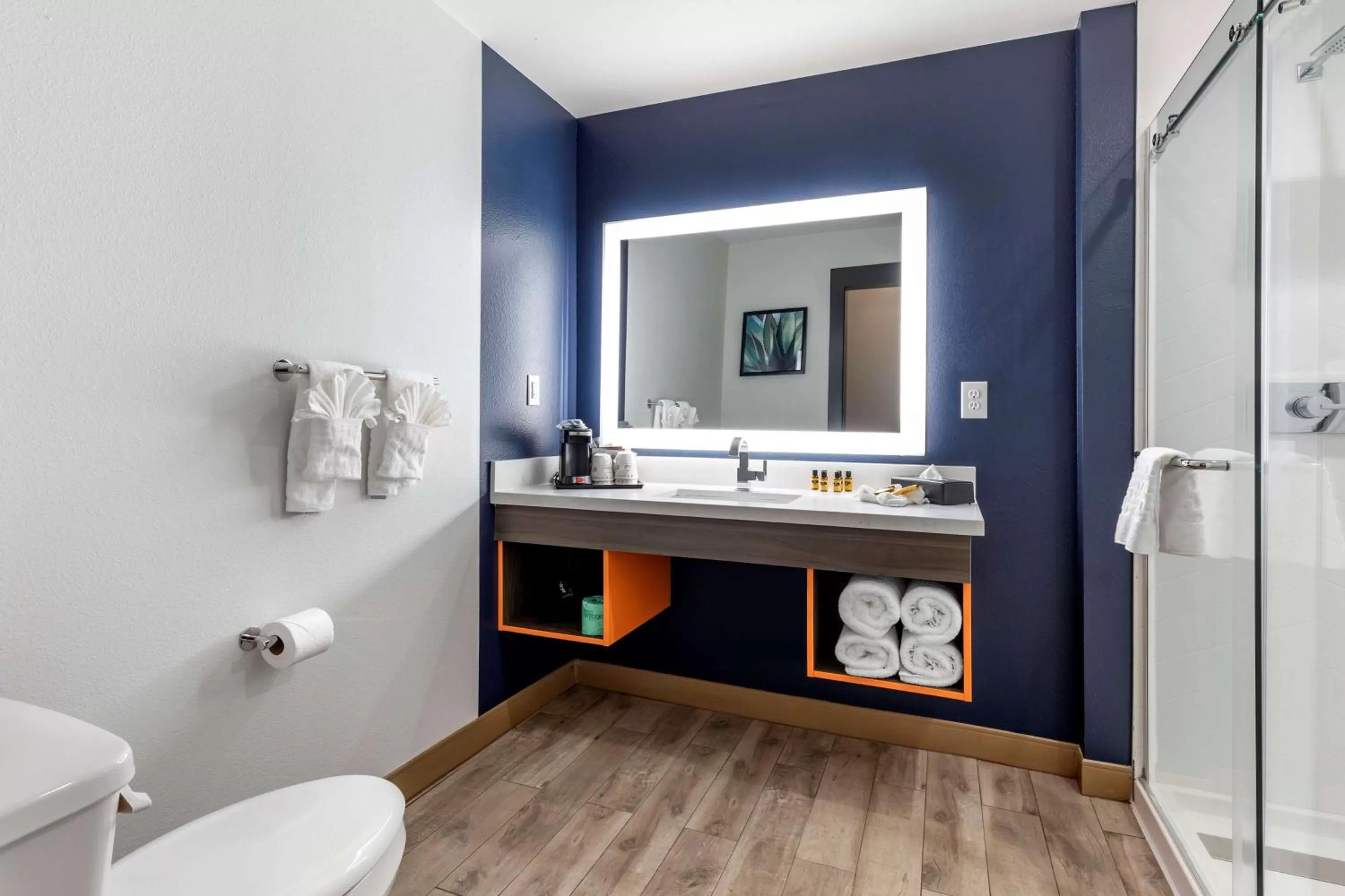 Bathroom in Best Western Plus Amarillo East Hotel