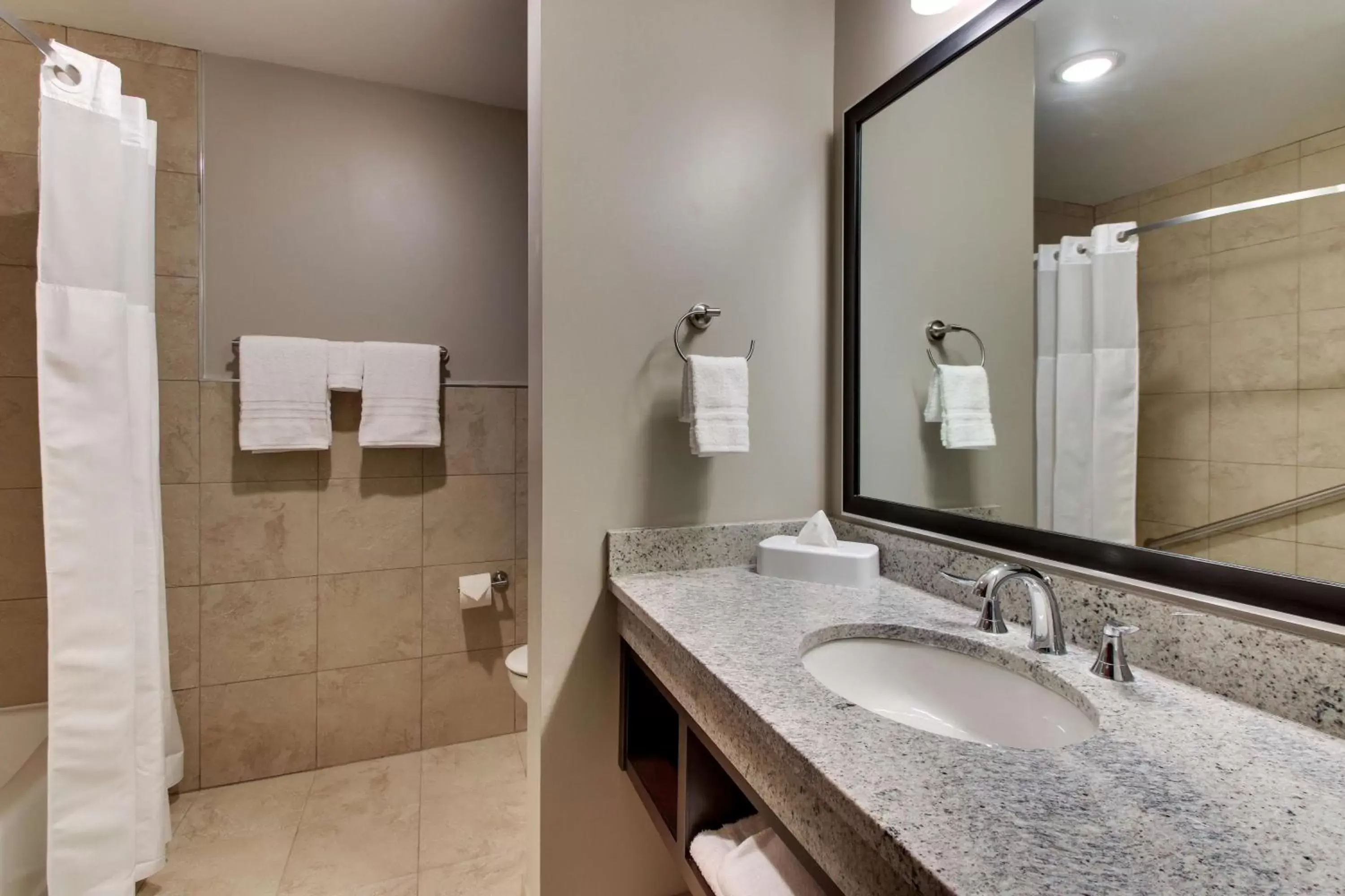 Bathroom in Drury Plaza Hotel Dallas Richardson
