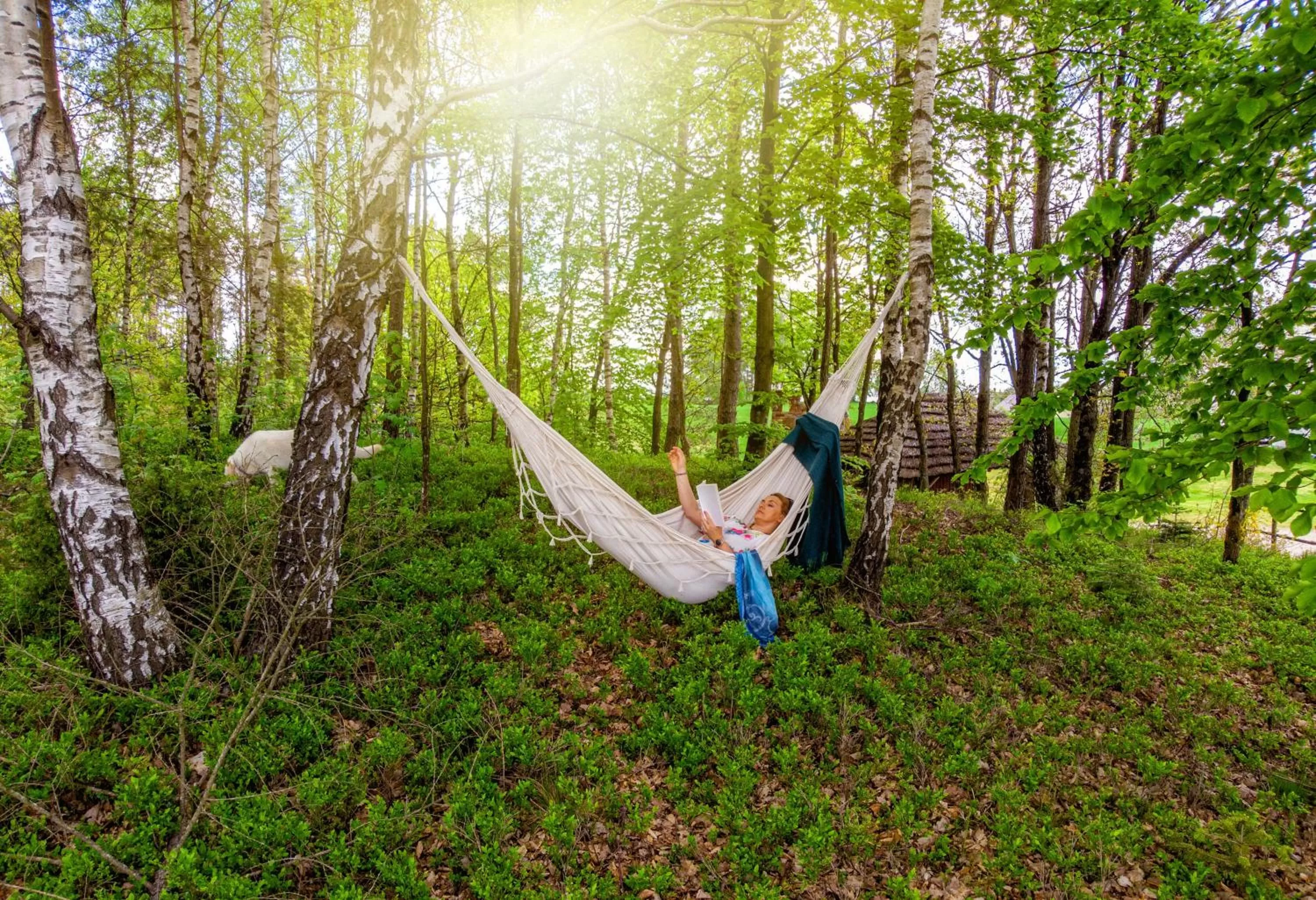 People in Hotel Kiston