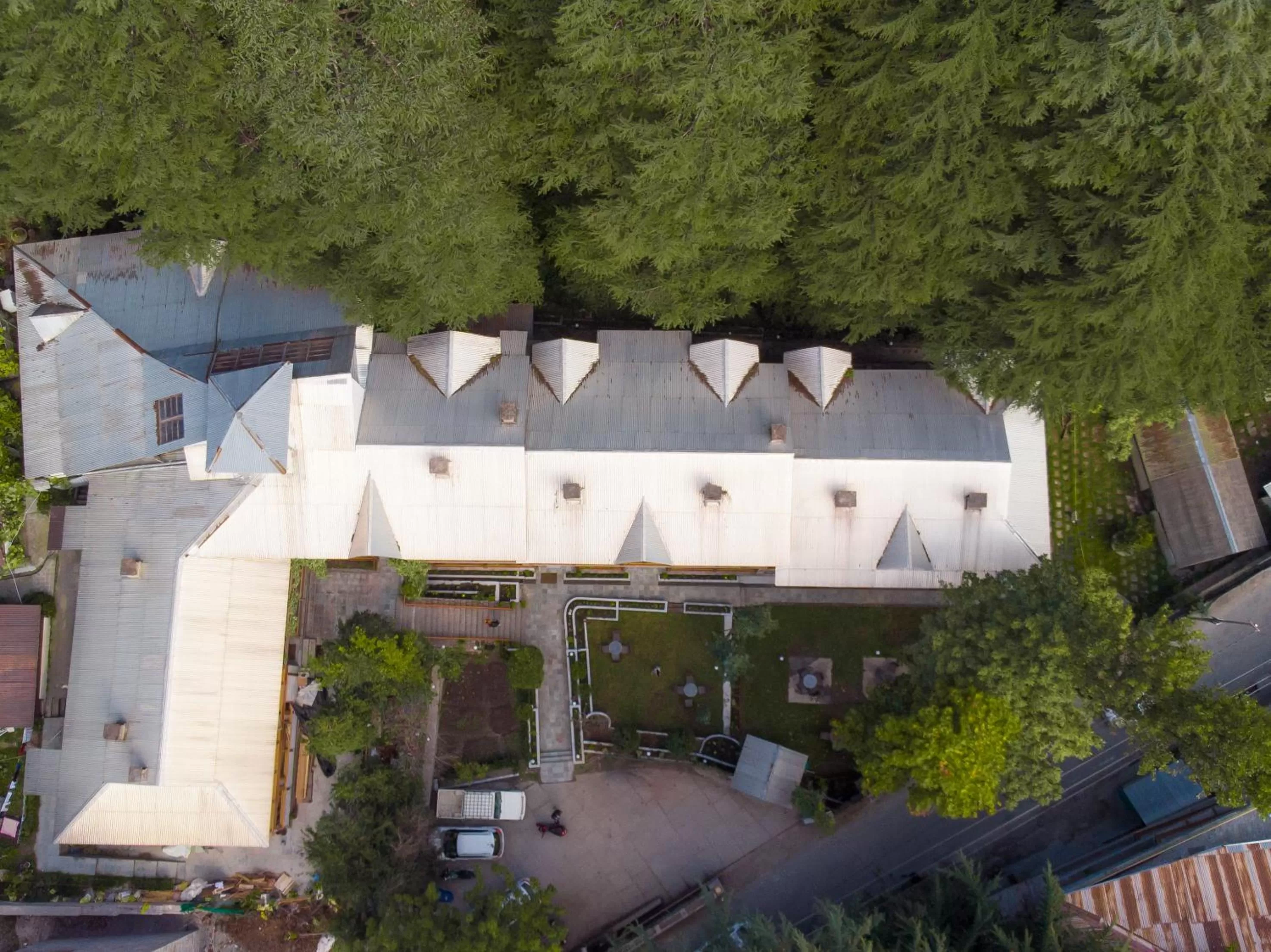 Property building in Hotel Negi's Mayflower A heritage Since 1965