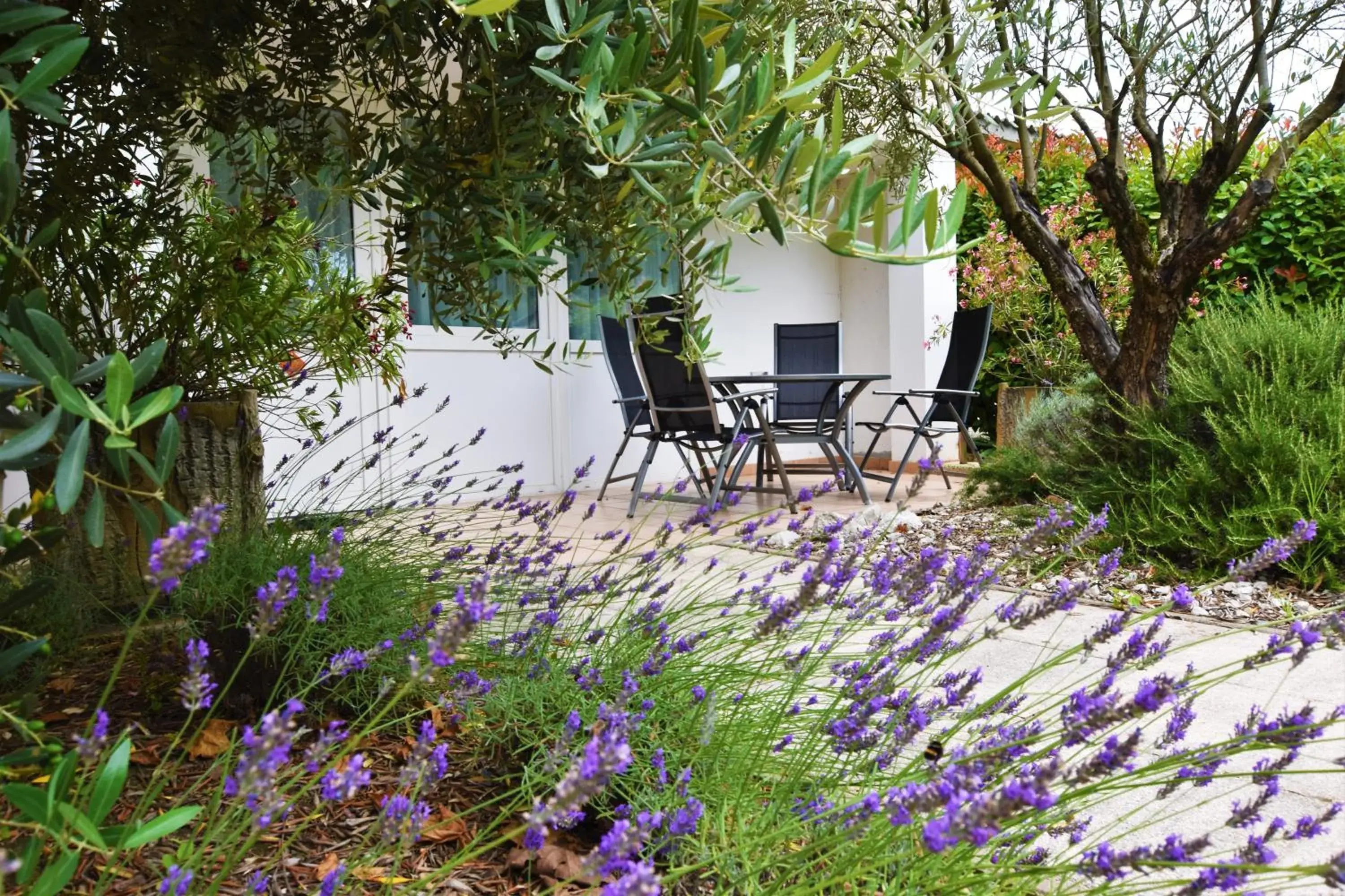 Garden view in Logis Auberge Saint Simond