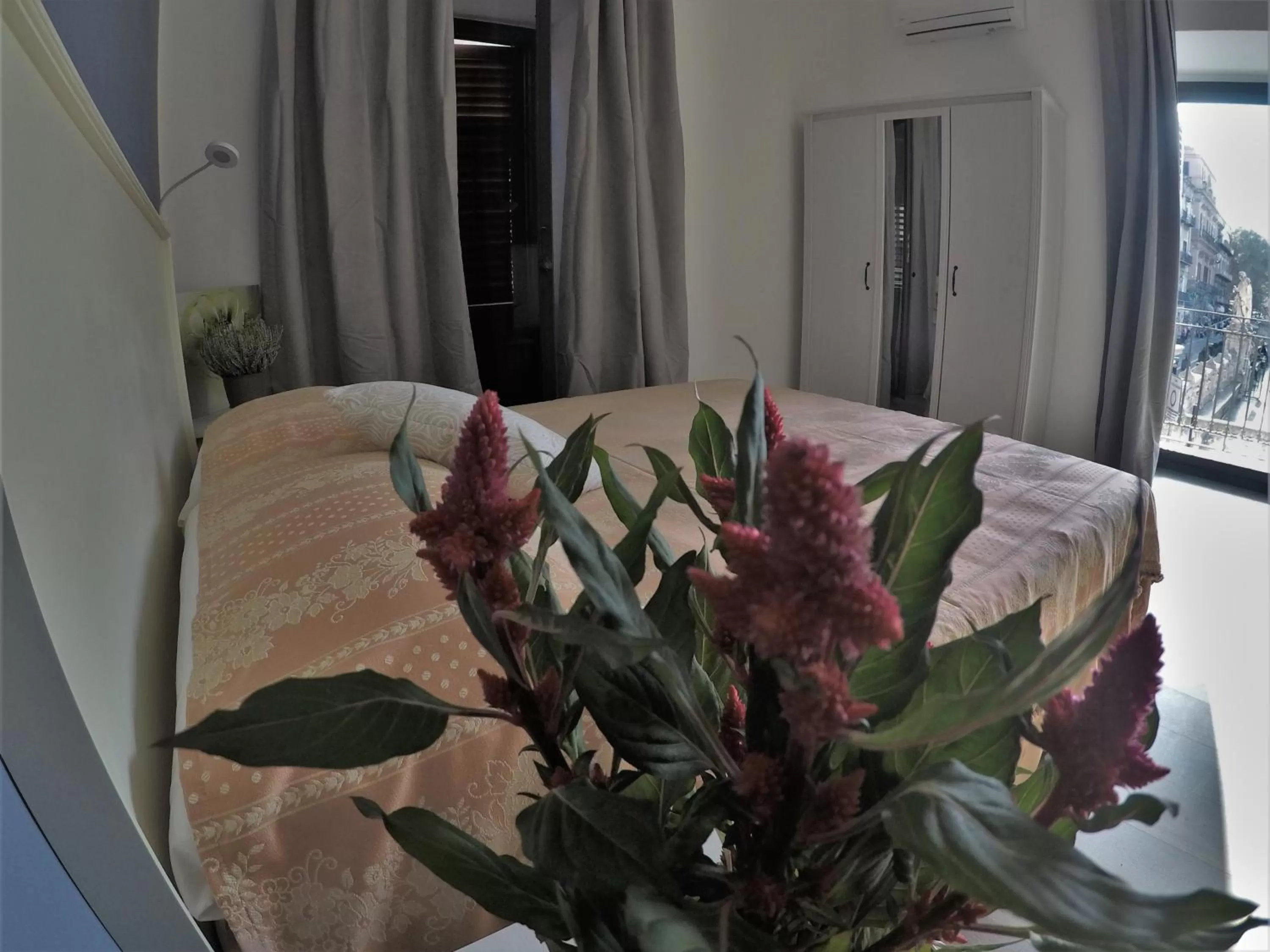 I Vicini della Cattedrale