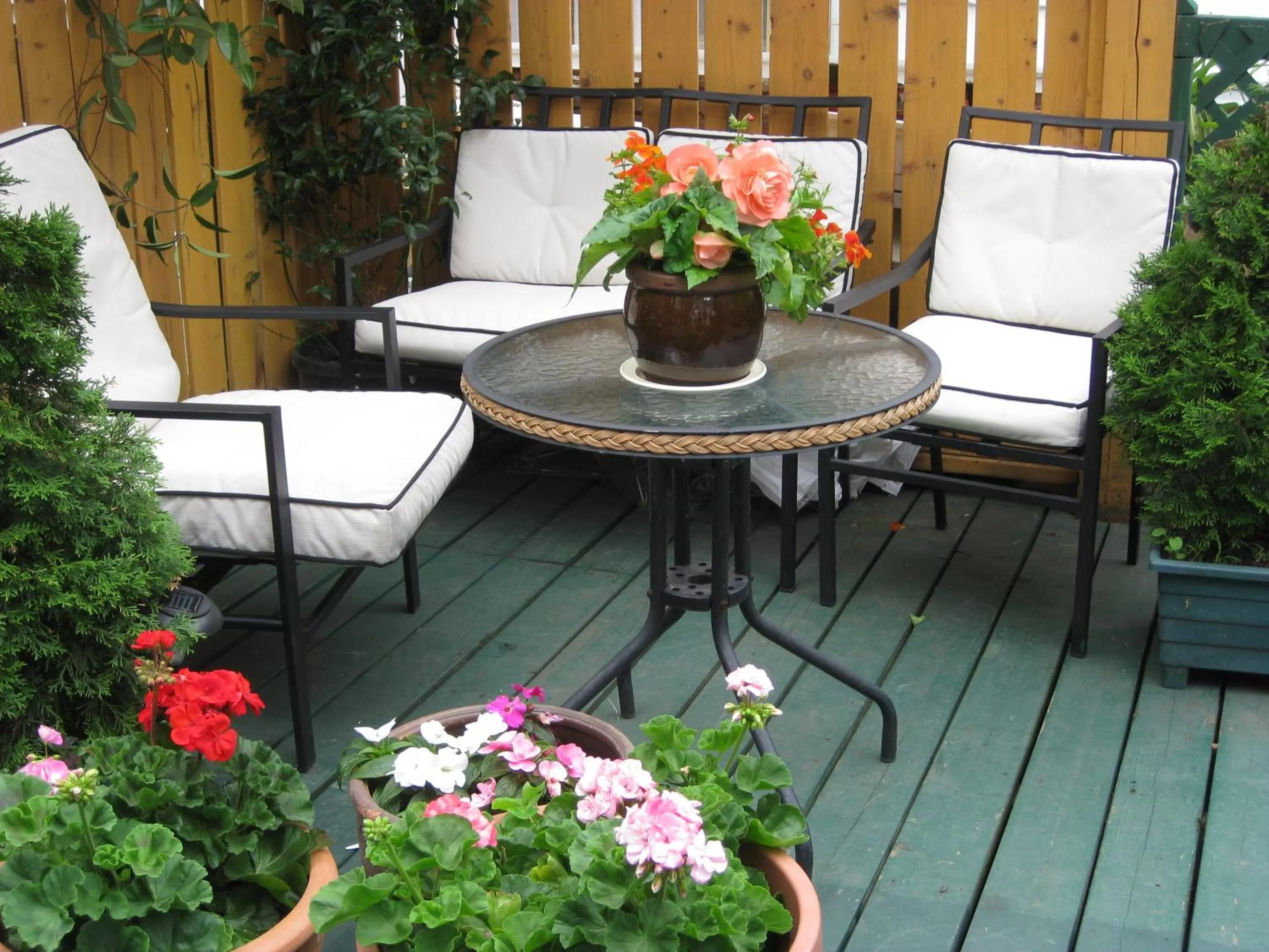 Garden in B&B Le Transit