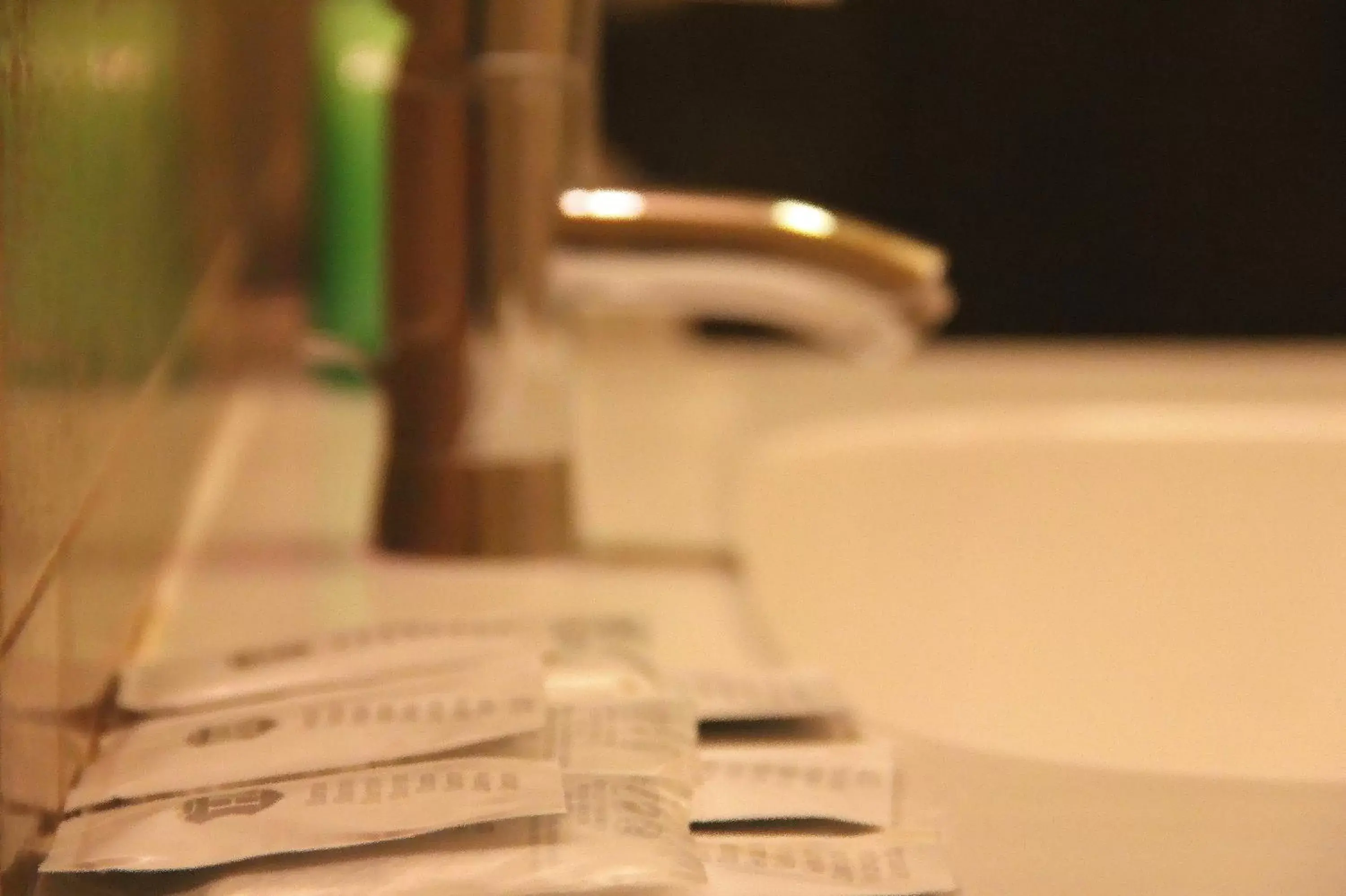 Decorative detail, Bathroom in Hotel Trevi