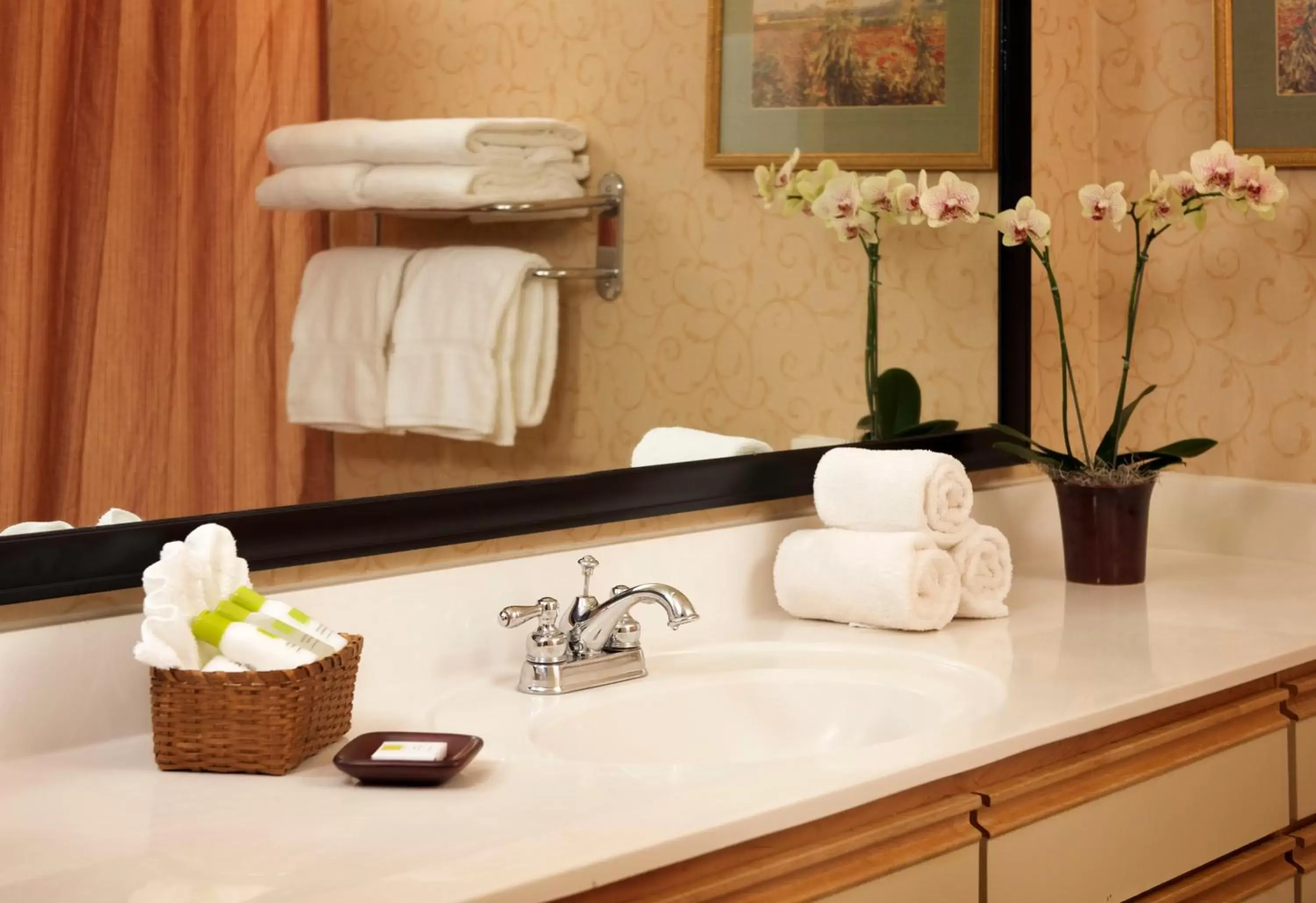 Bedroom, Bathroom in Larkspur Landing Bellevue - An All-Suite Hotel