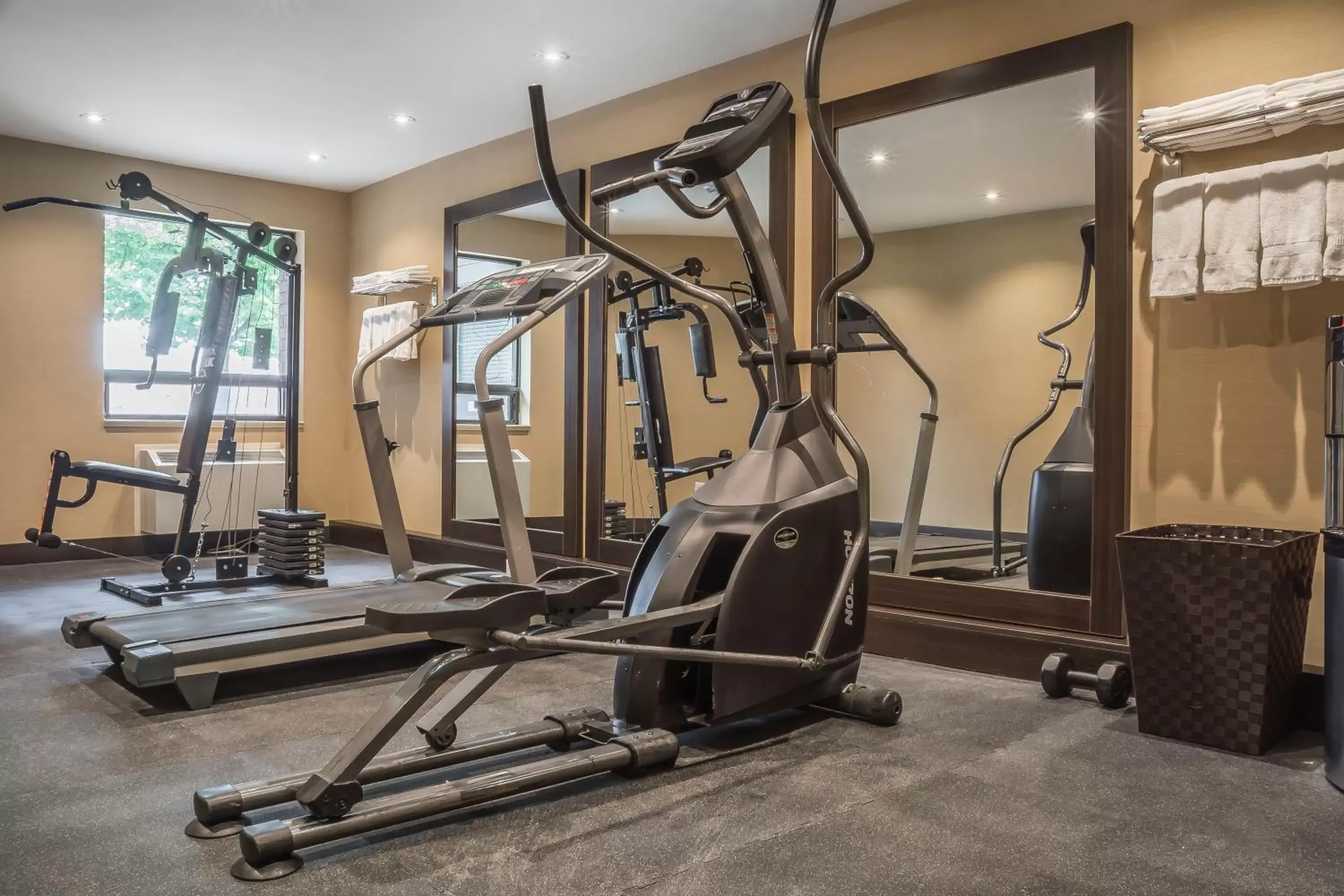 Fitness centre/facilities, Fitness Center/Facilities in Comfort Inn Chatham