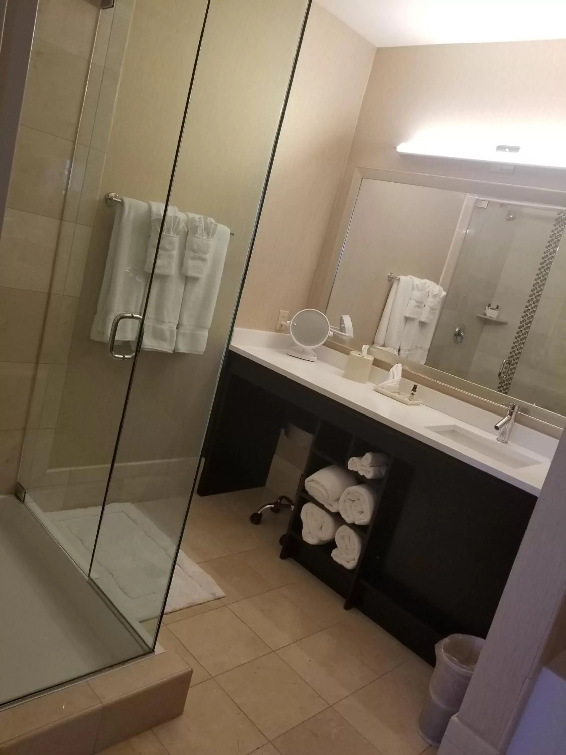 Shower, Bathroom in Hawthorn Suites by Wyndham West Palm Beach