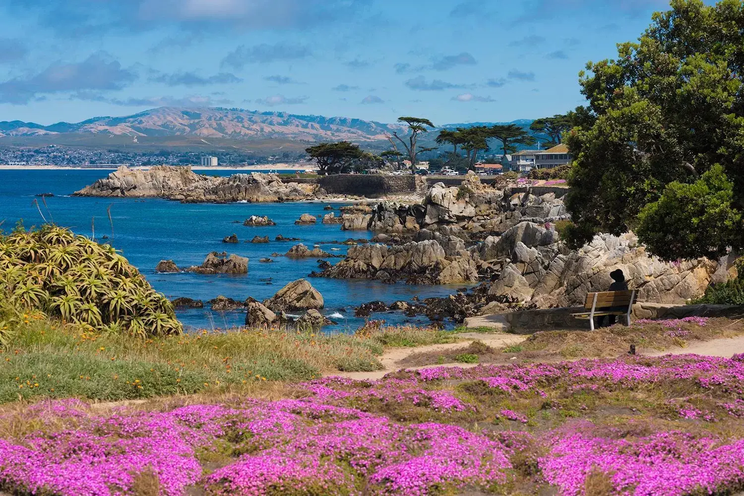 Neighbourhood in Seven Gables Inn on Monterey Bay, A Kirkwood Collection Hotel