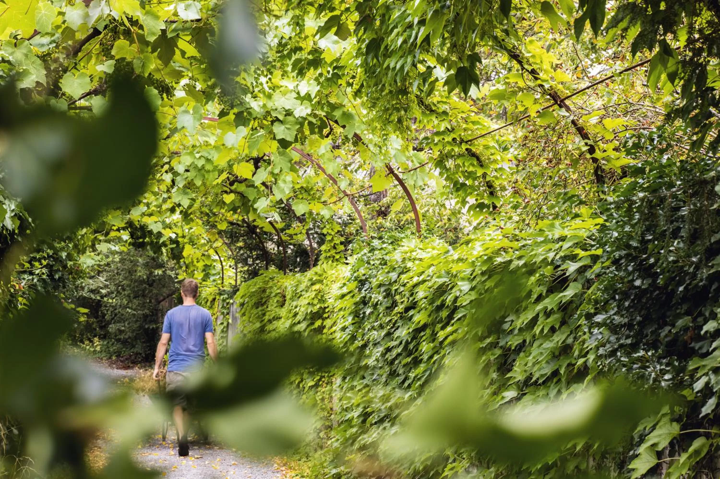 Garden in ODELYA - Stadthotel im Park