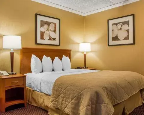 Bed in Clarion Hotel & Suites Riverfront Oswego