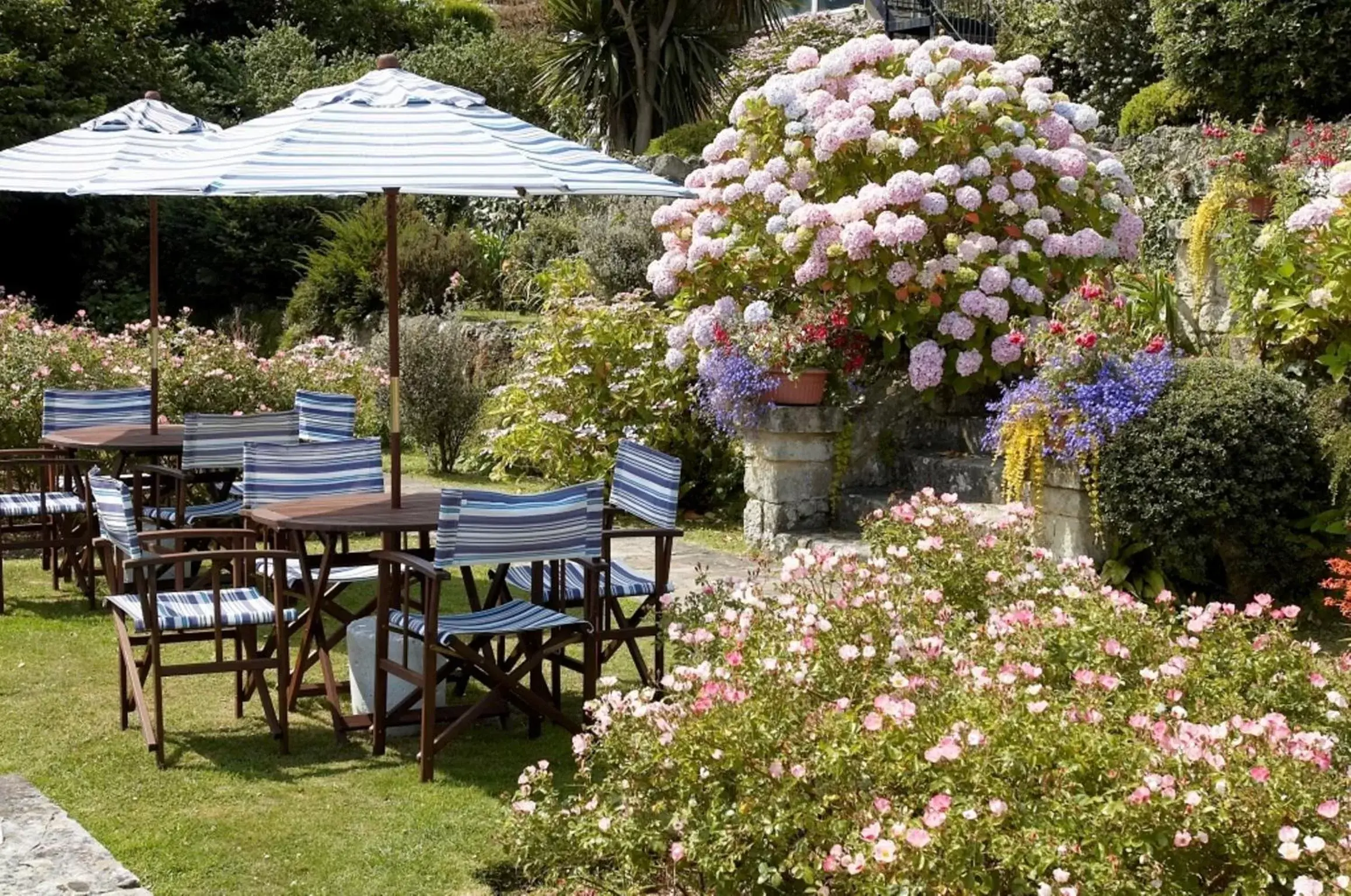 Garden in Luccombe Hall Hotel