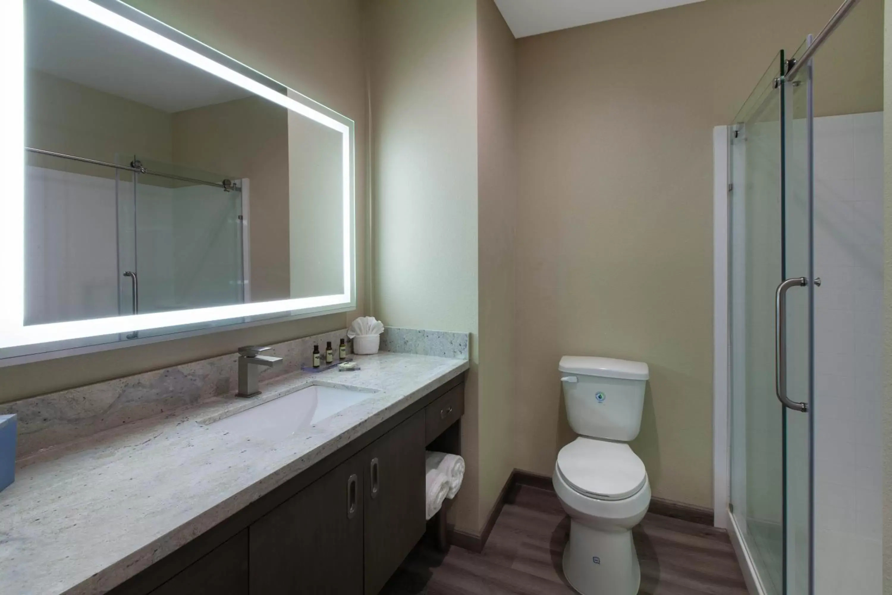 Bathroom in Hawthorn Suites By Wyndham Odessa