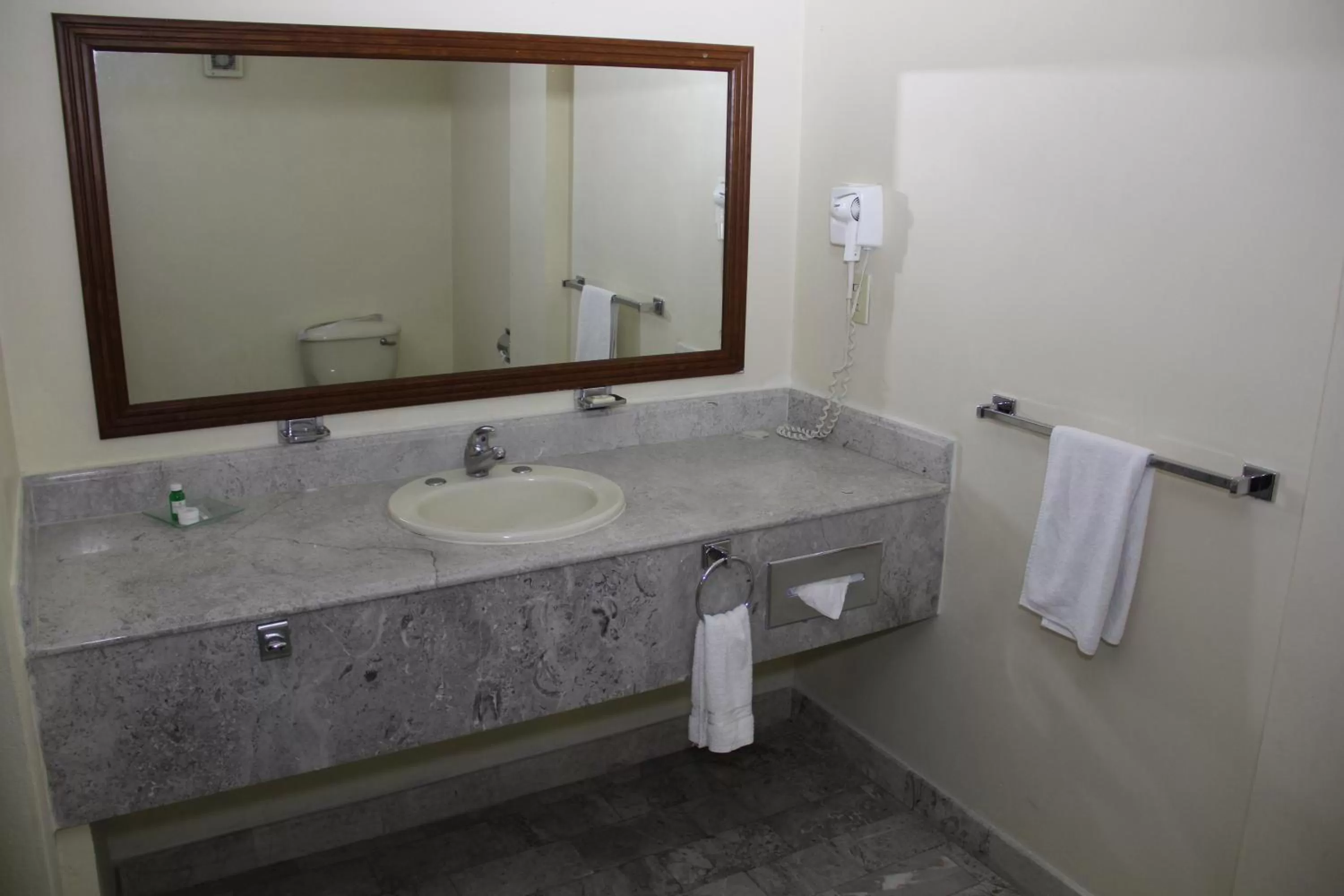 Bathroom in Hotel Tehuacan Plaza