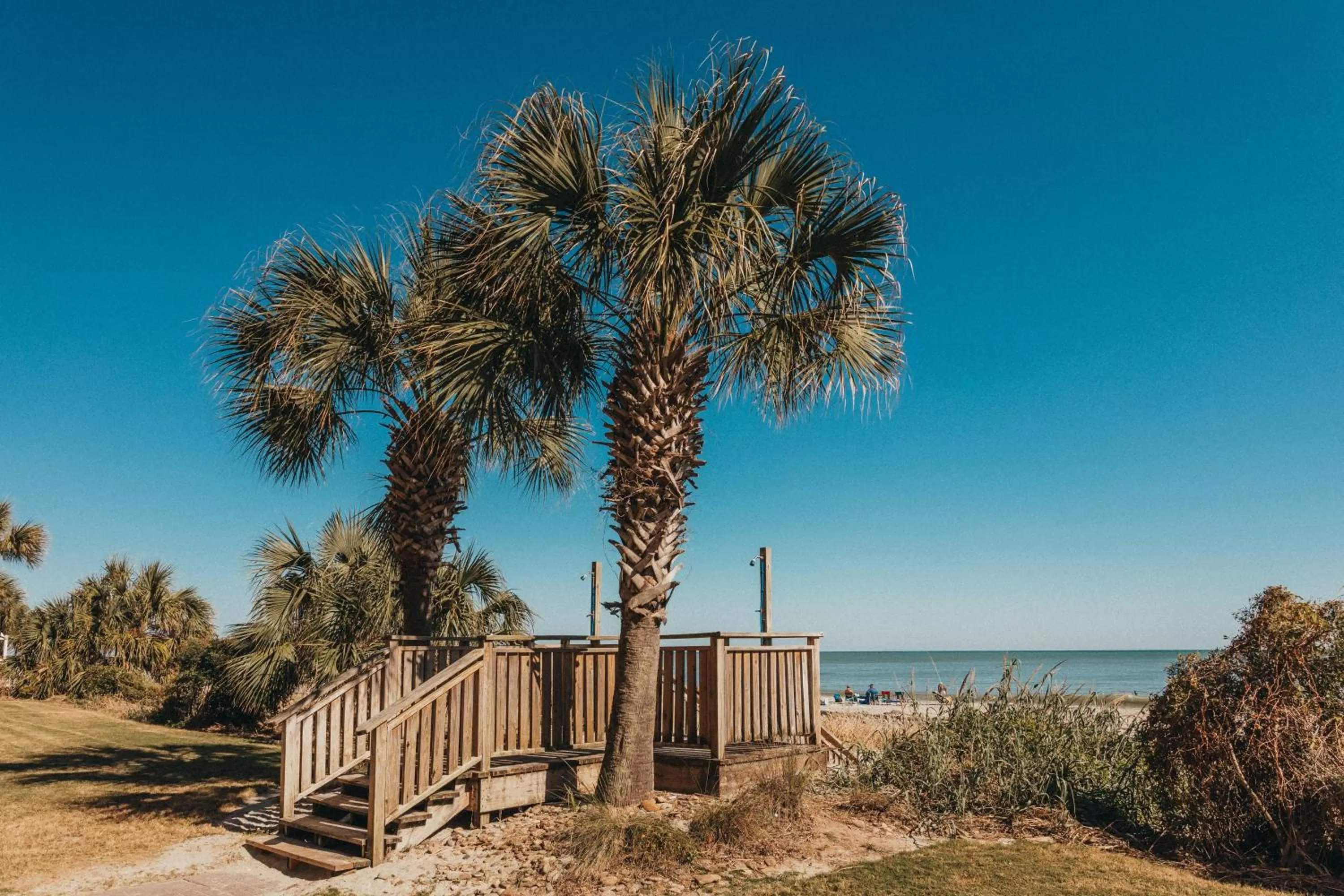Beach in Sandcastle Oceanfront Resort South Beach
